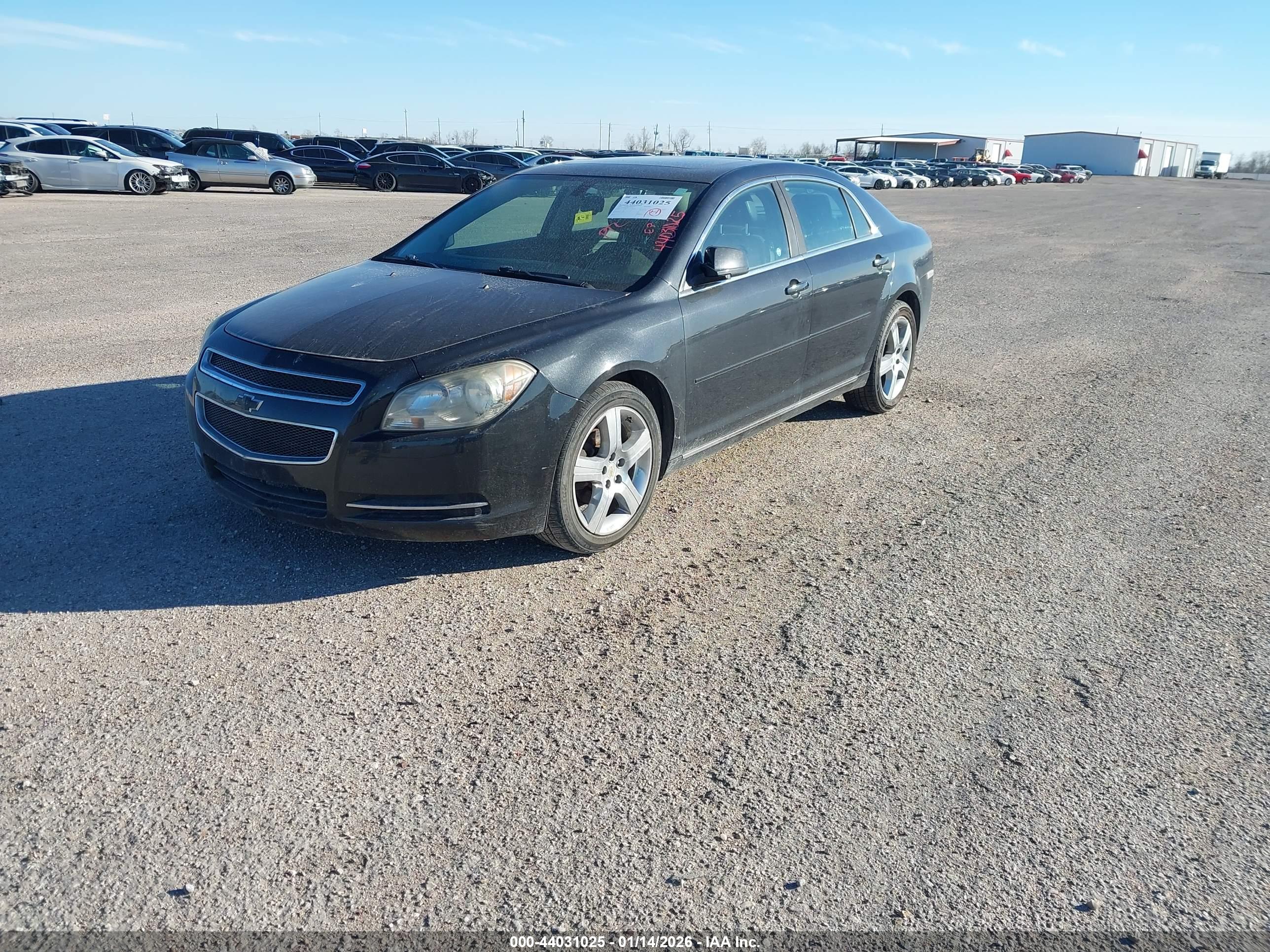 CHEVROLET MALIBU image 2