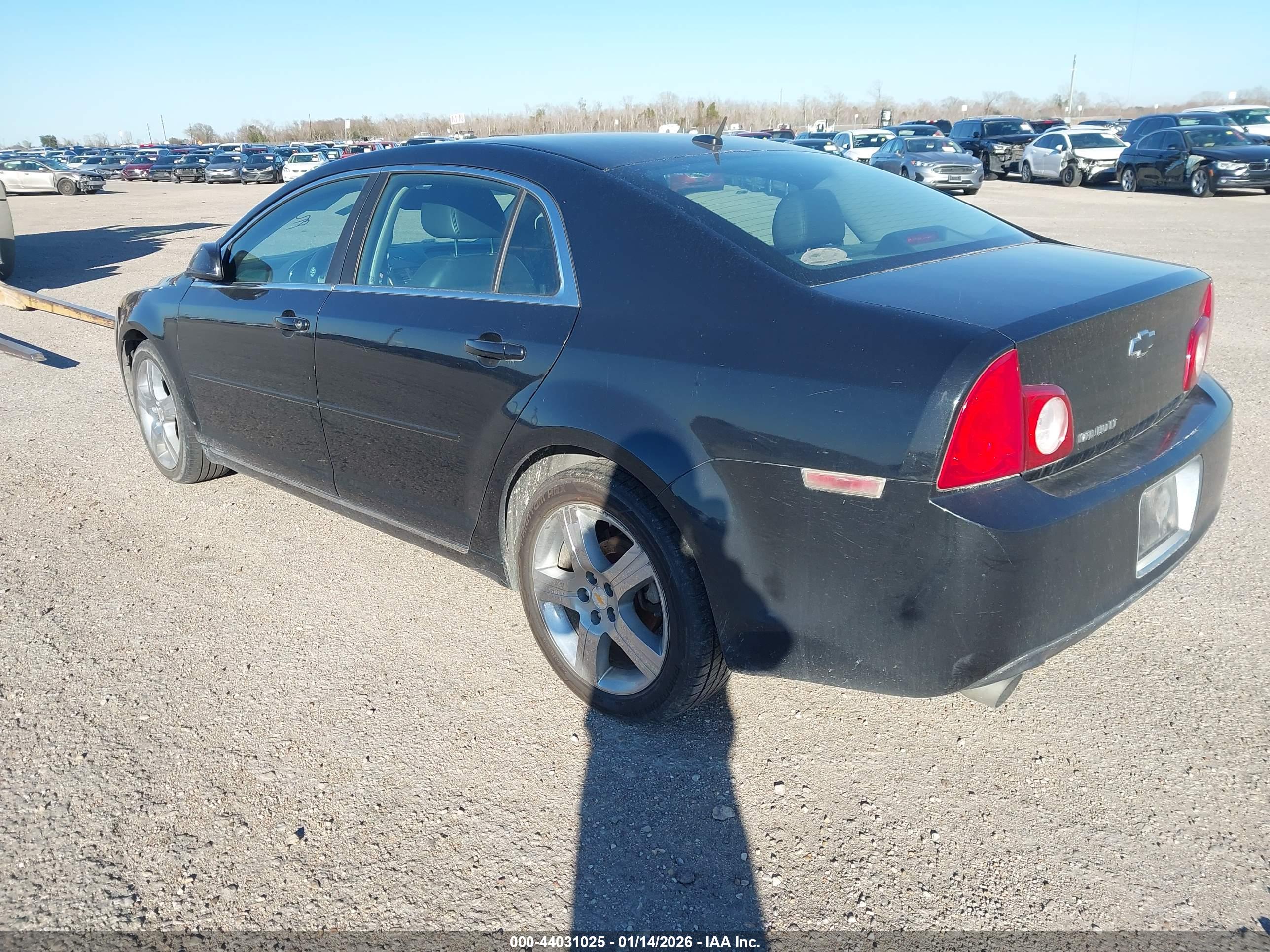 CHEVROLET MALIBU image 3