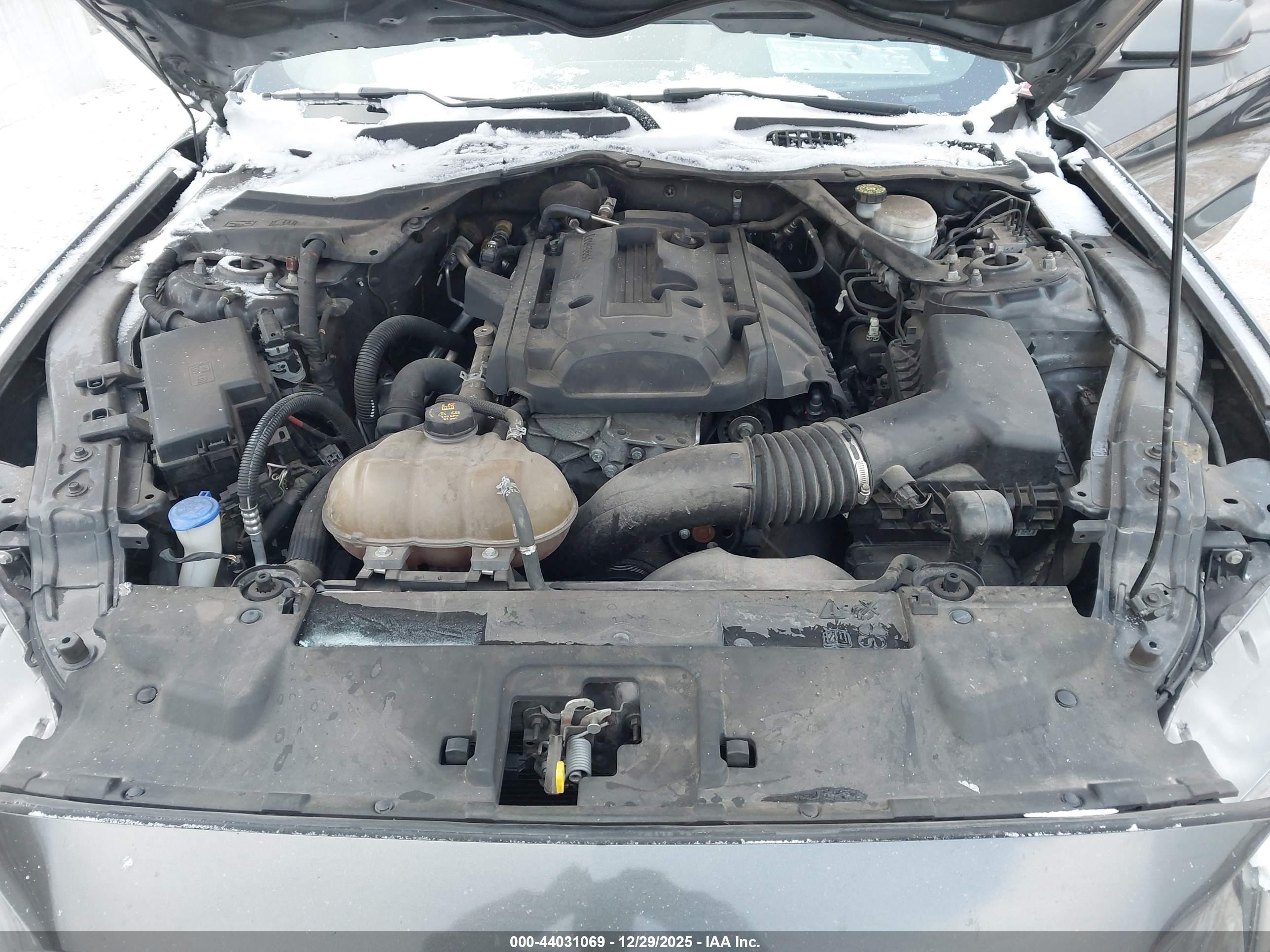 FORD MUSTANG image 10