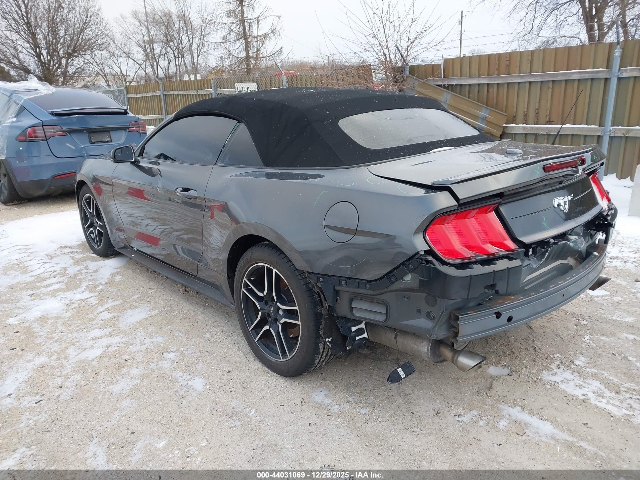FORD MUSTANG image 3