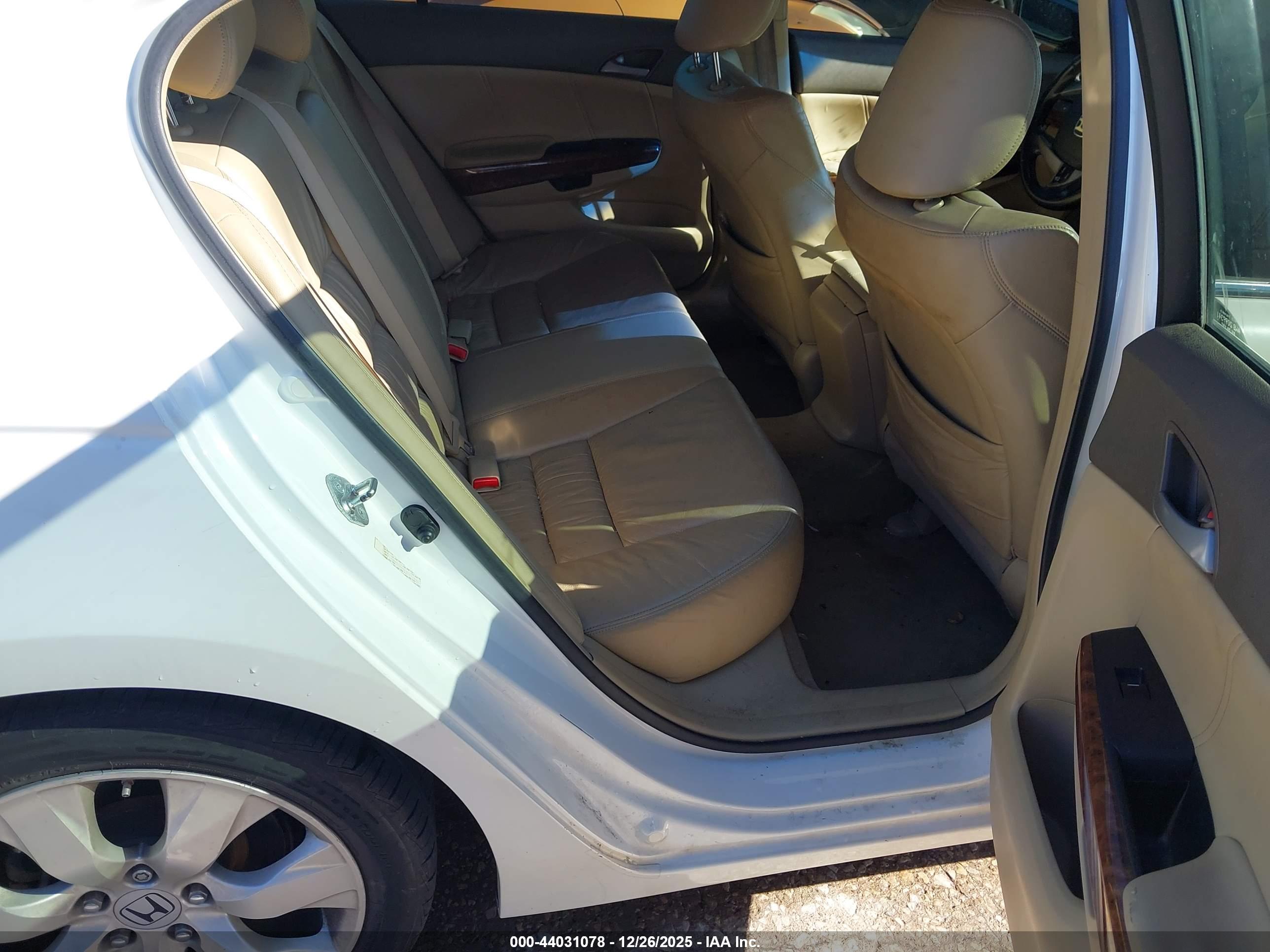 HONDA ACCORD image 8
