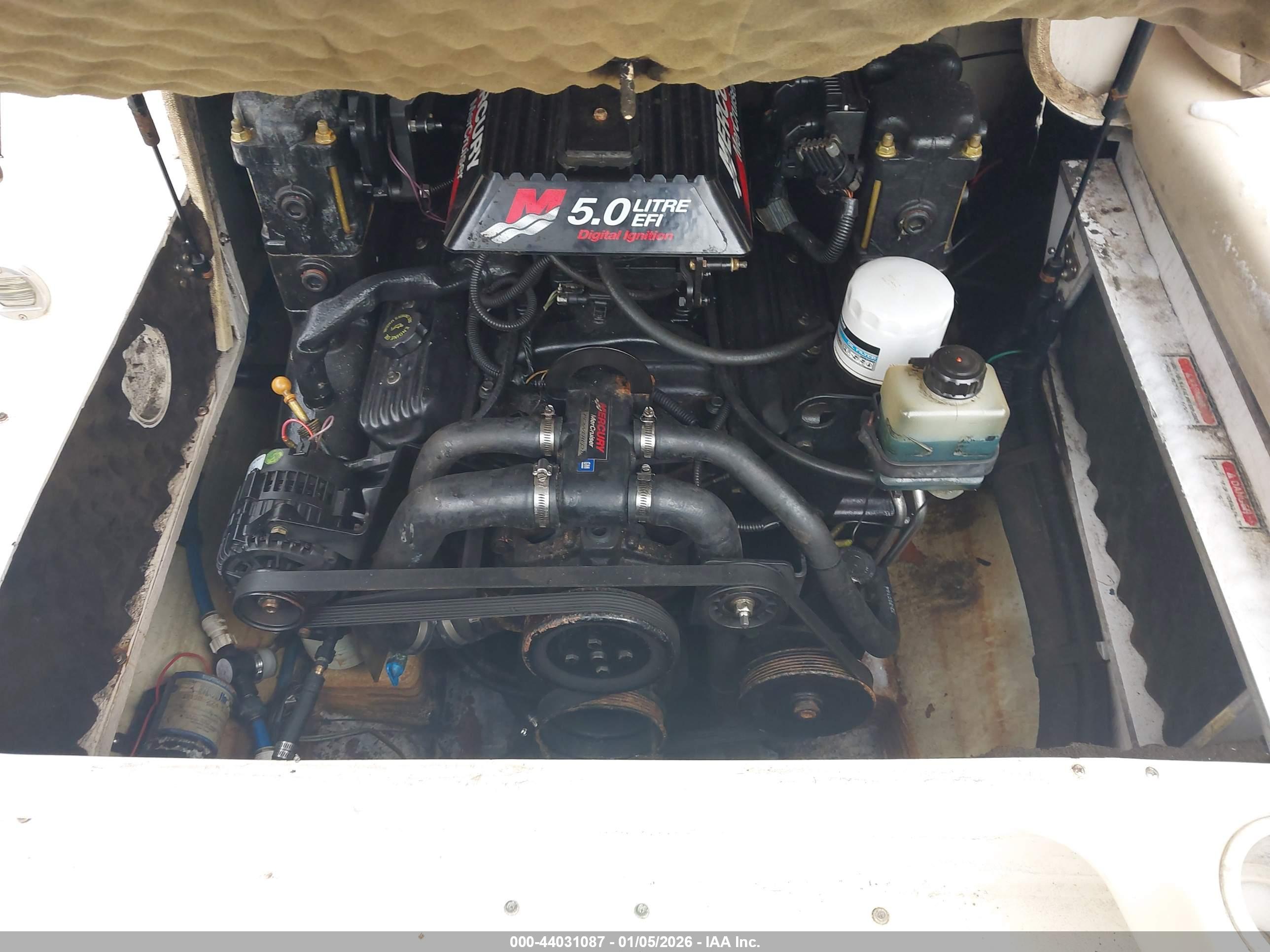 SEA RAY image 10