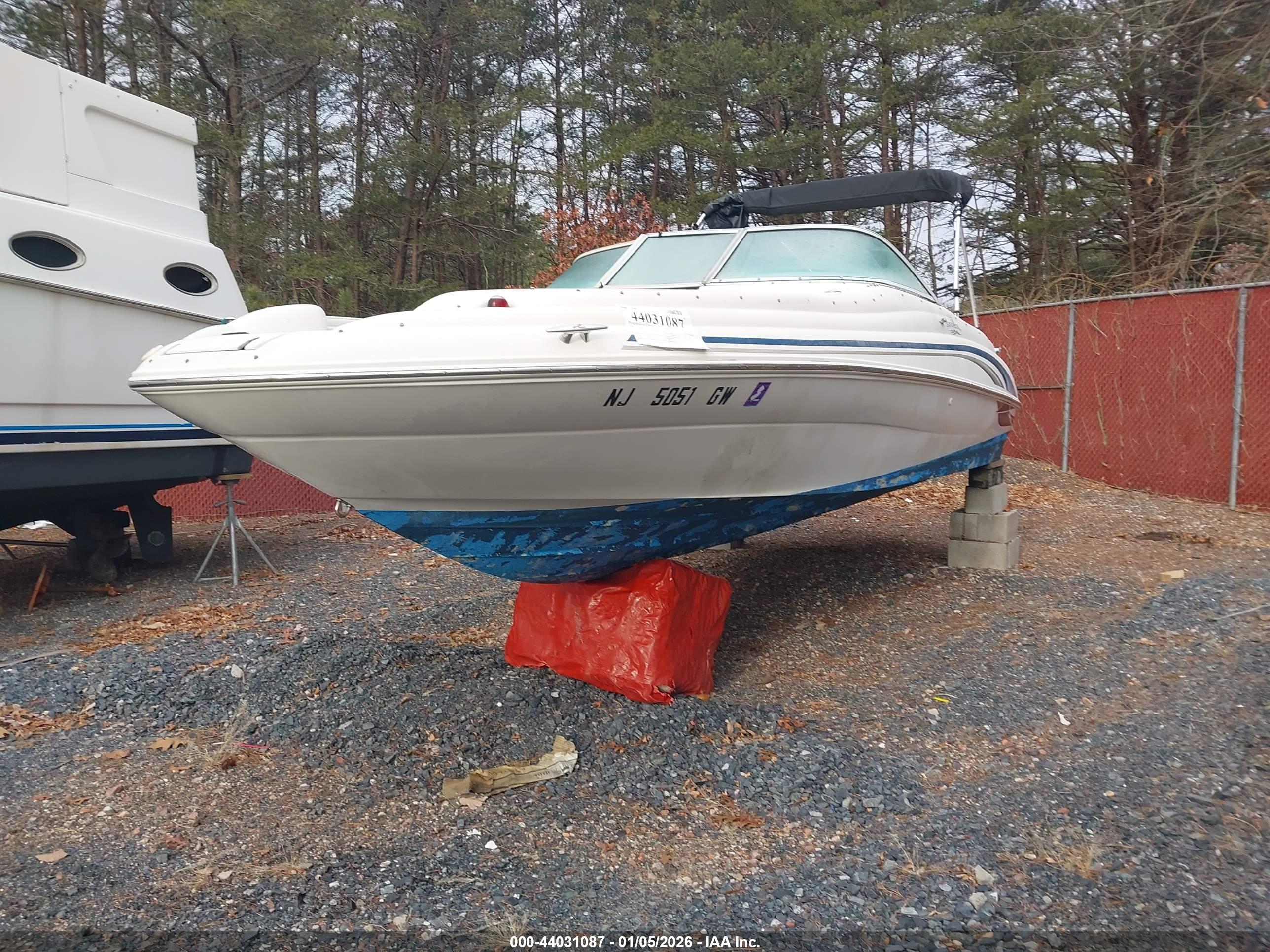 SEA RAY image 2