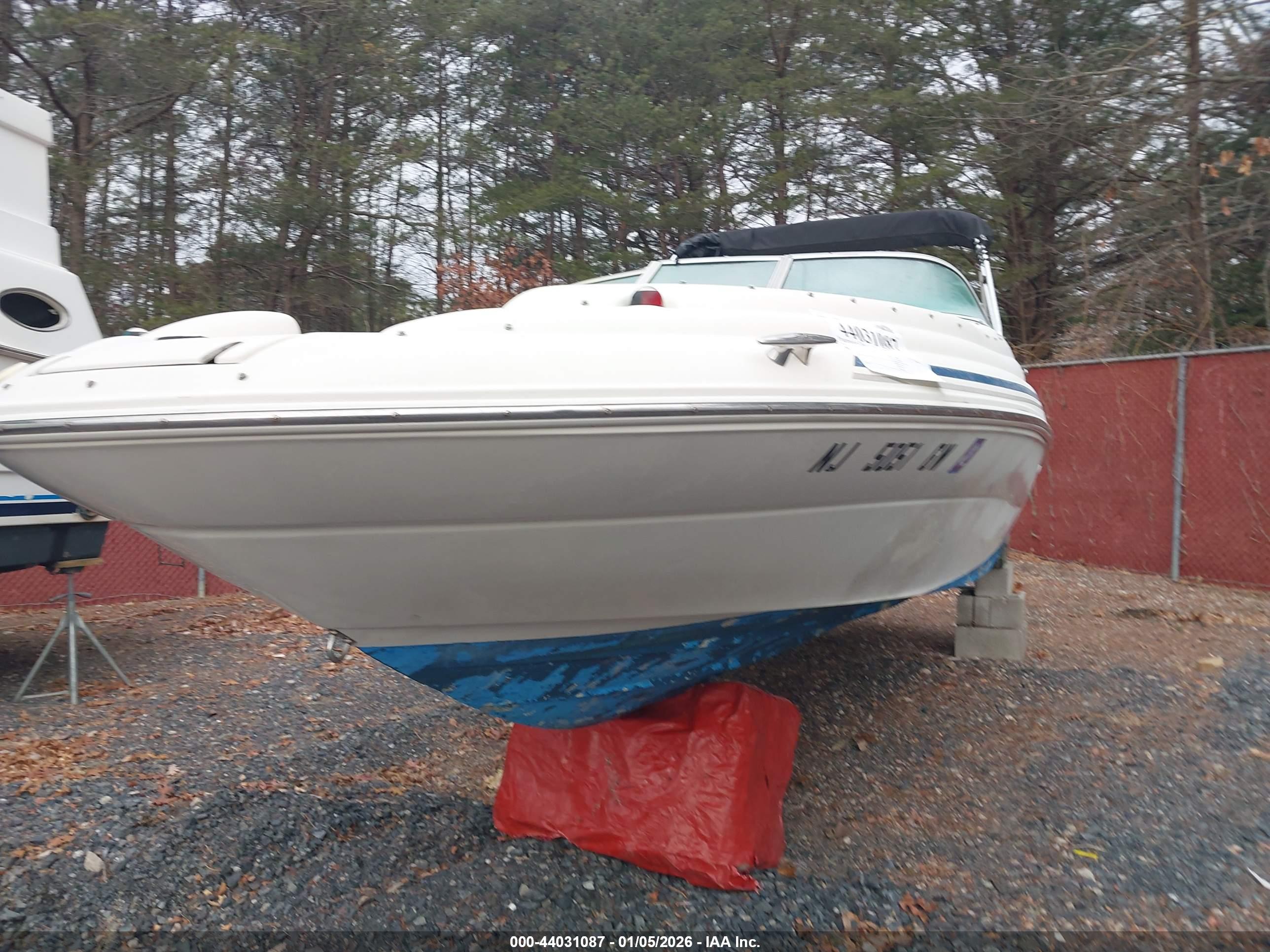 SEA RAY image 6