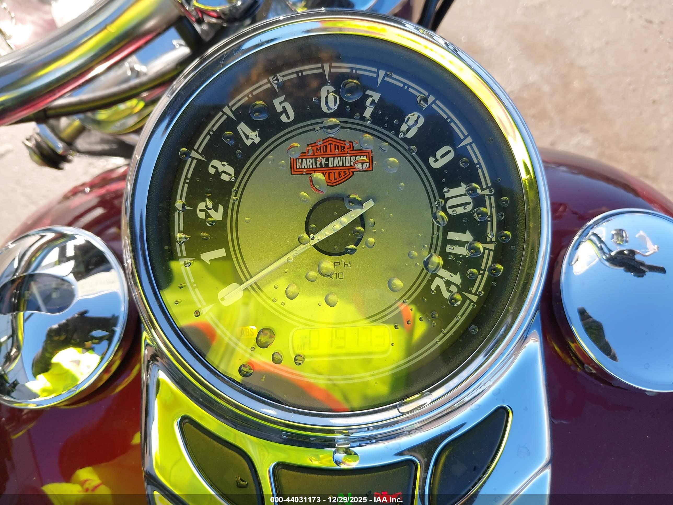 HARLEY-DAVIDSON FLSTC image 7