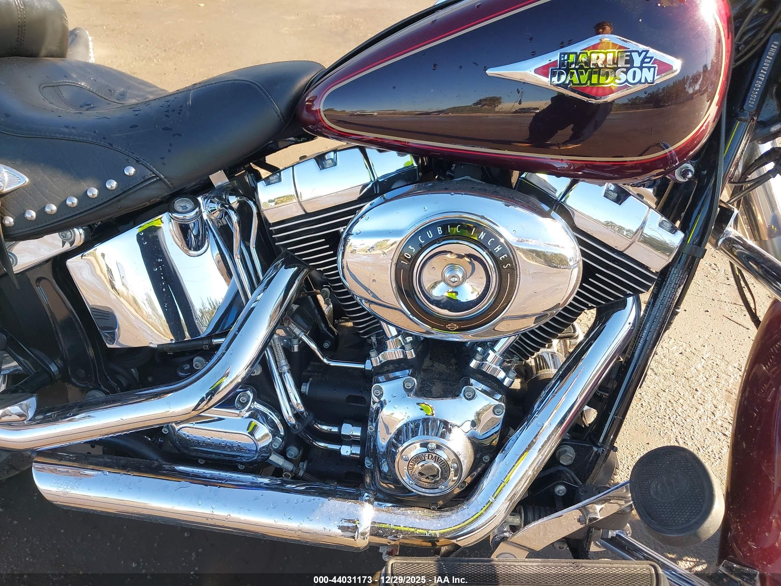 HARLEY-DAVIDSON FLSTC image 8