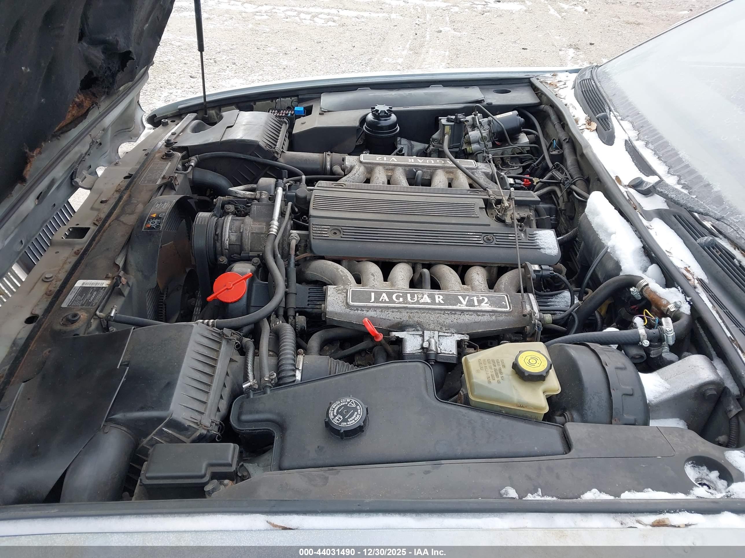 JAGUAR XJ12 image 10