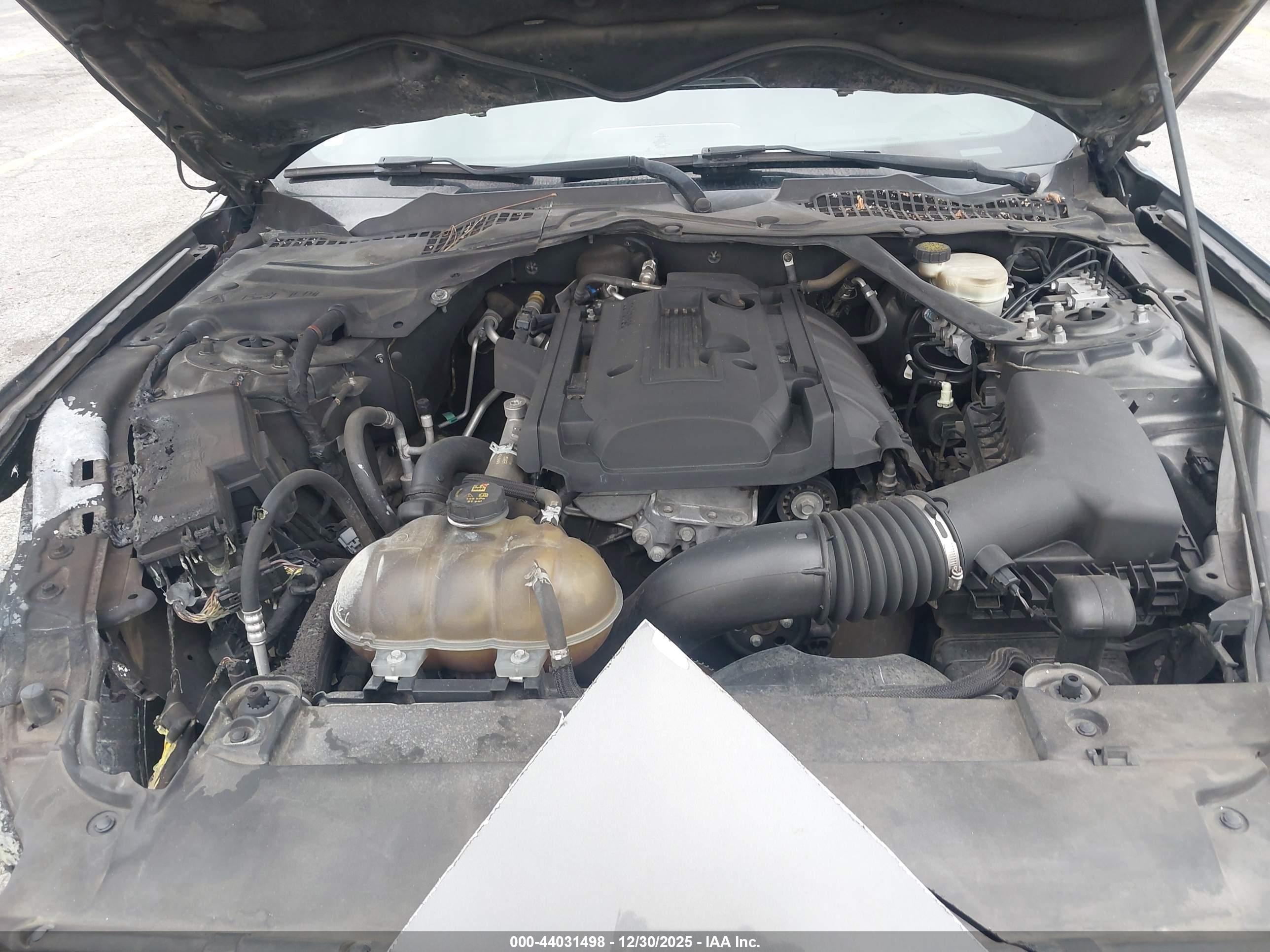 FORD MUSTANG image 10