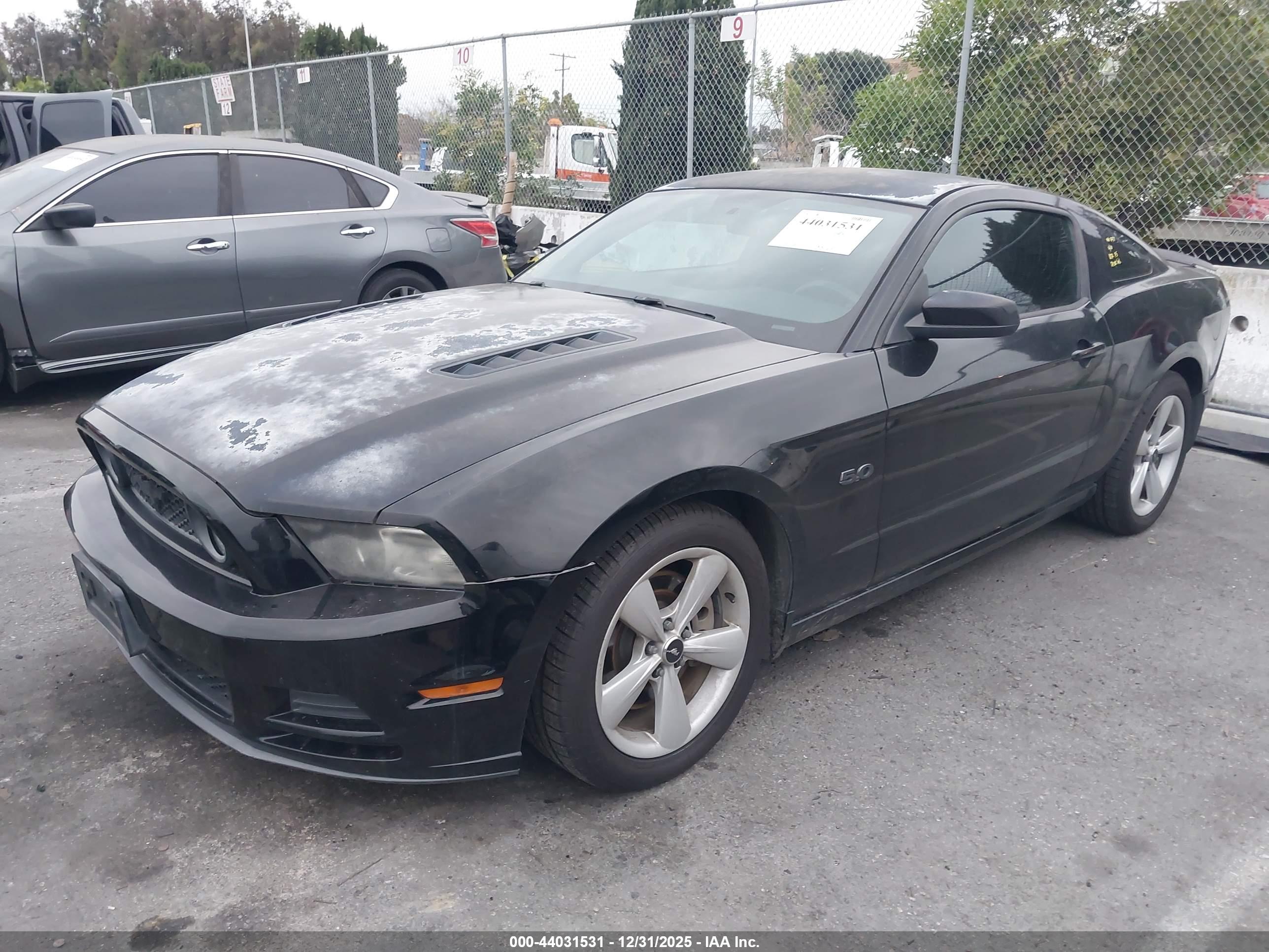 FORD MUSTANG image 2