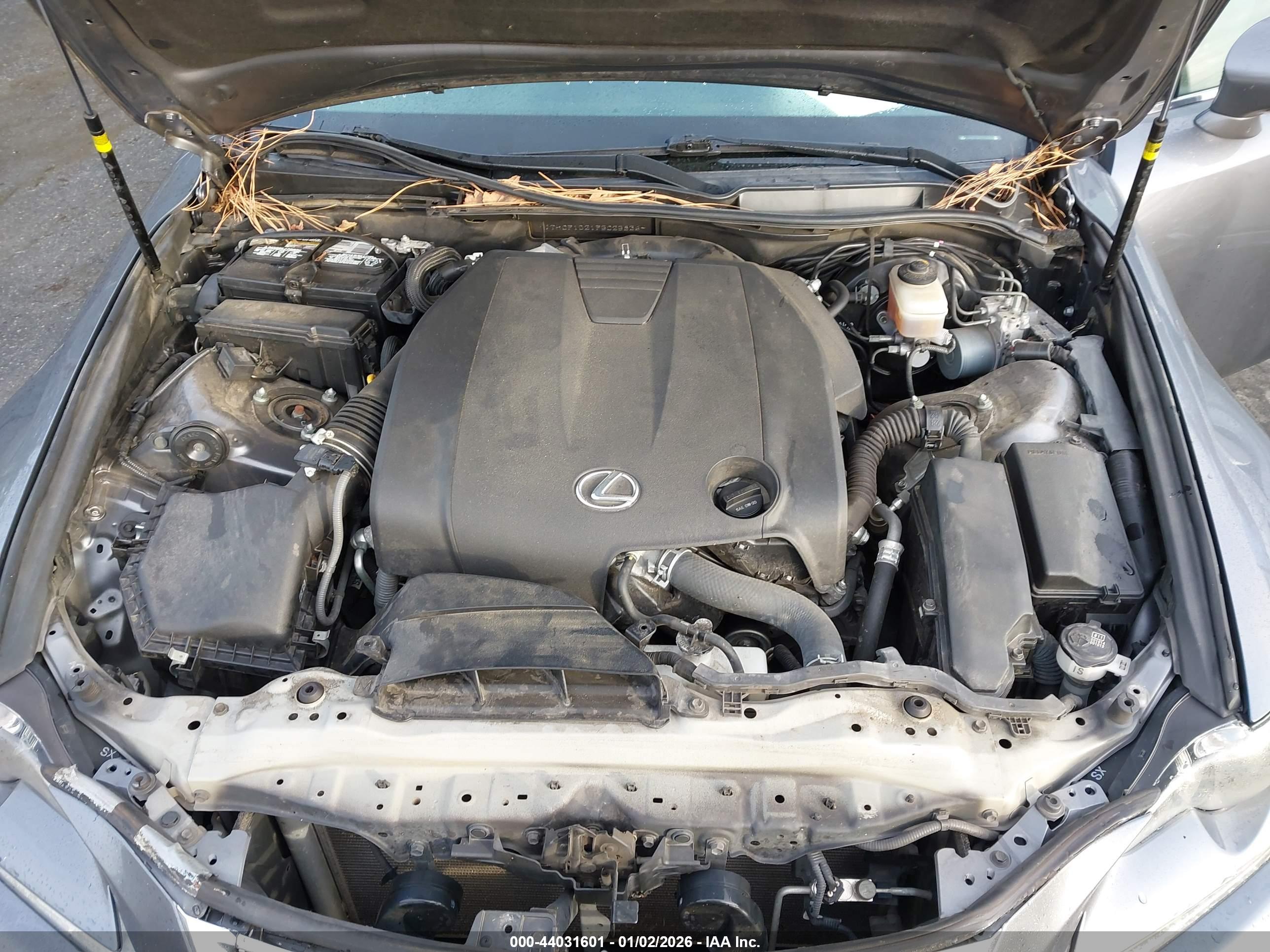 LEXUS IS image 10