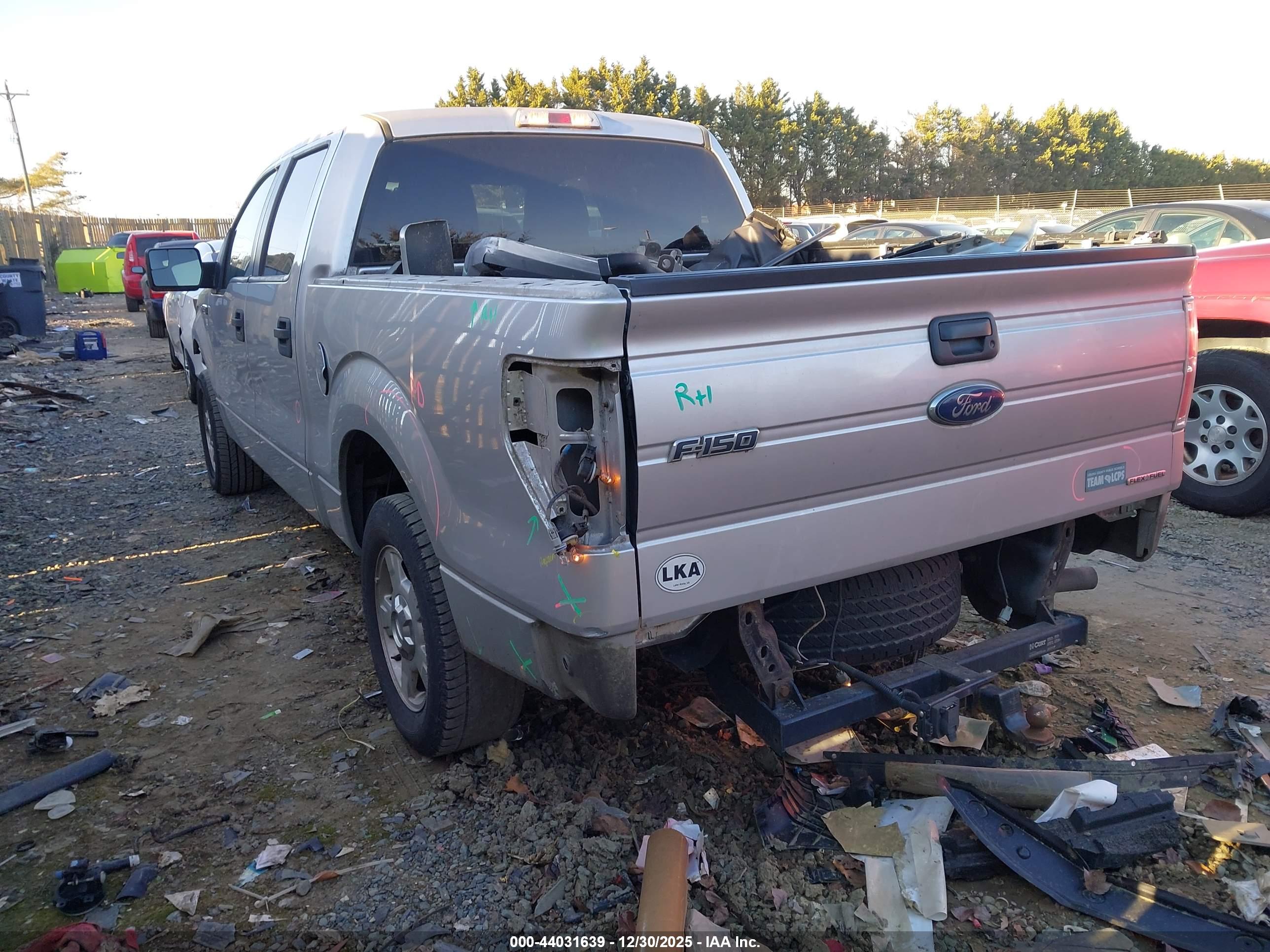 FORD F-150 image 3