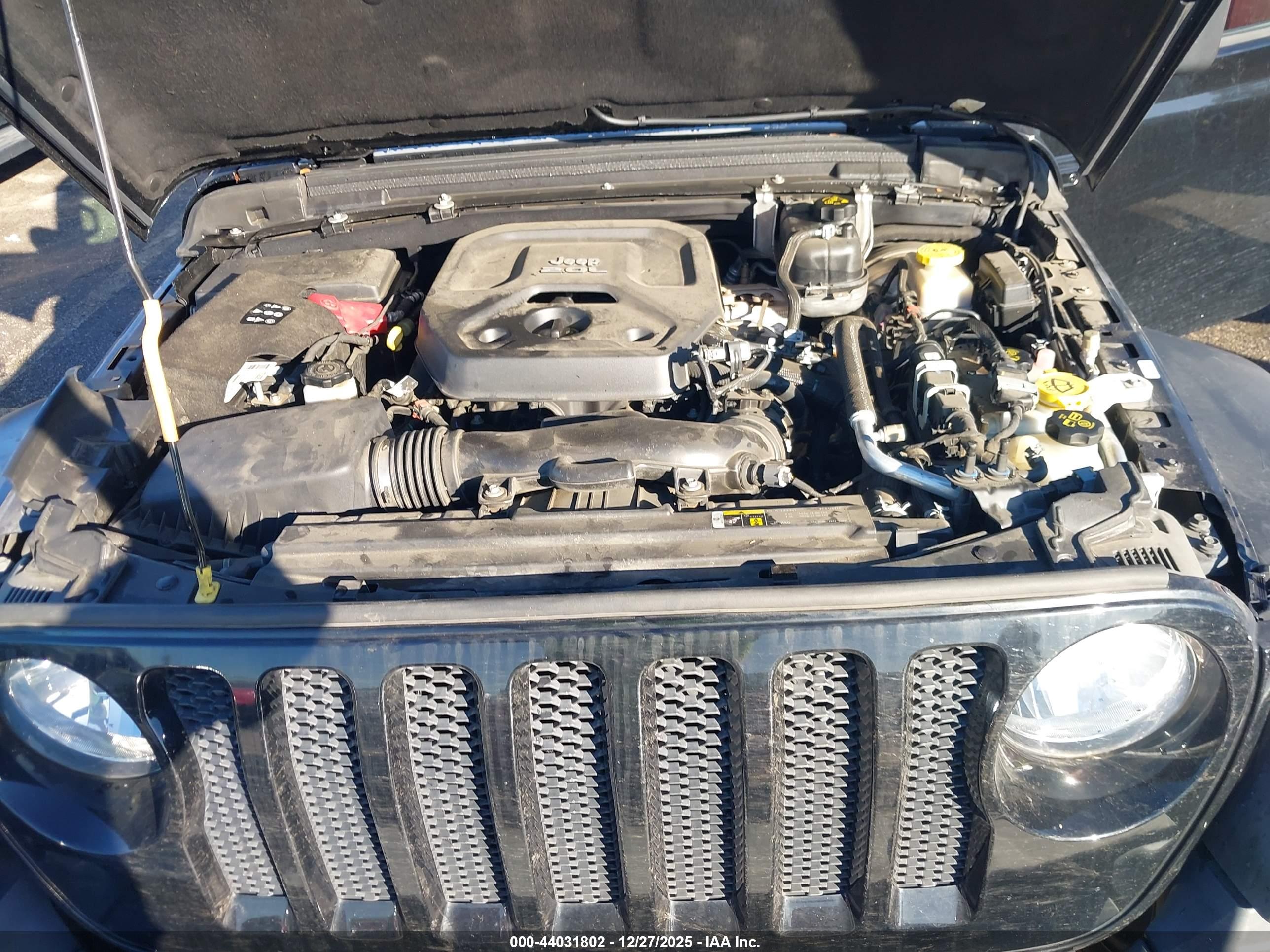 JEEP WRANGLER image 10