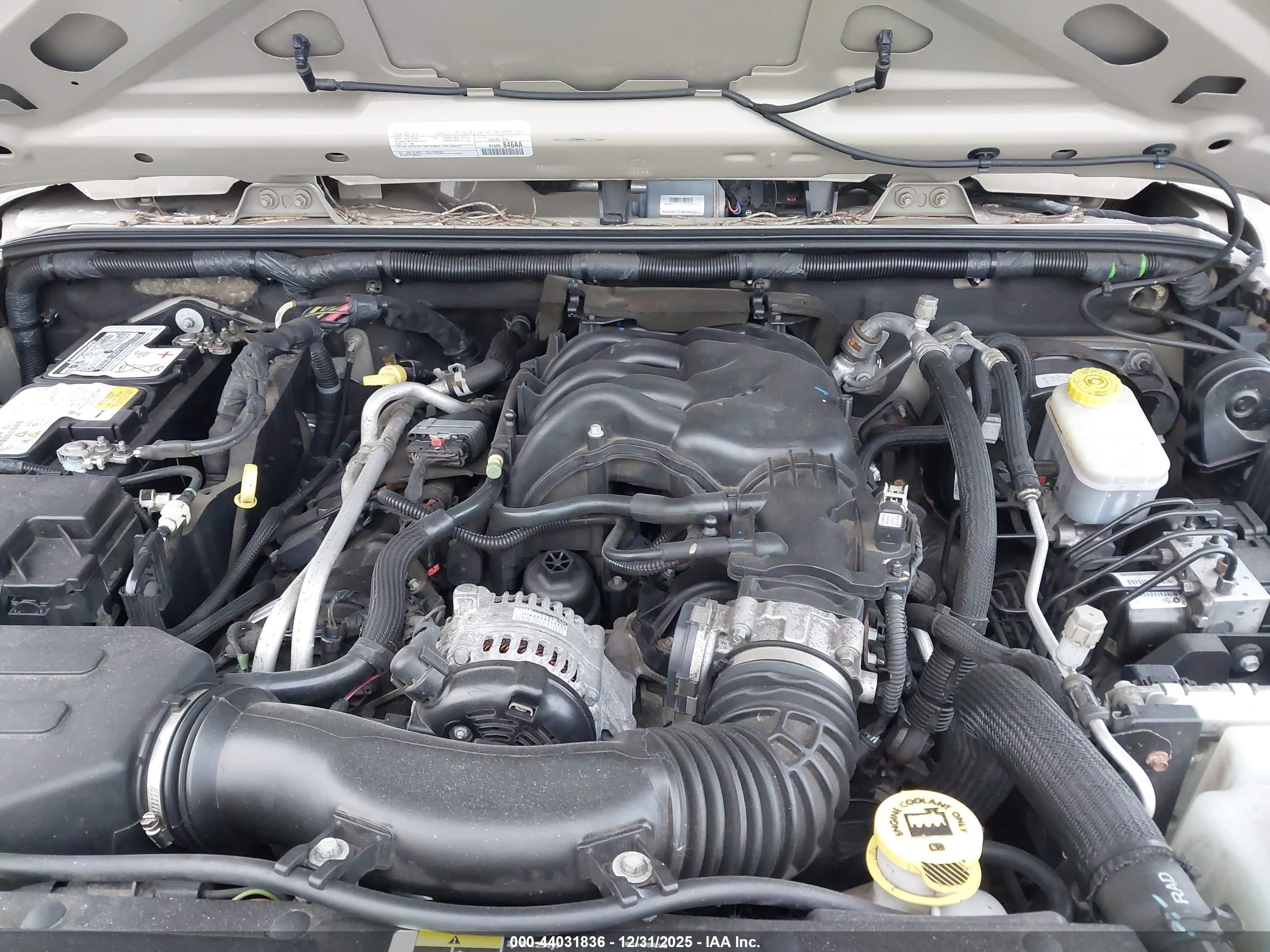 JEEP WRANGLER image 10