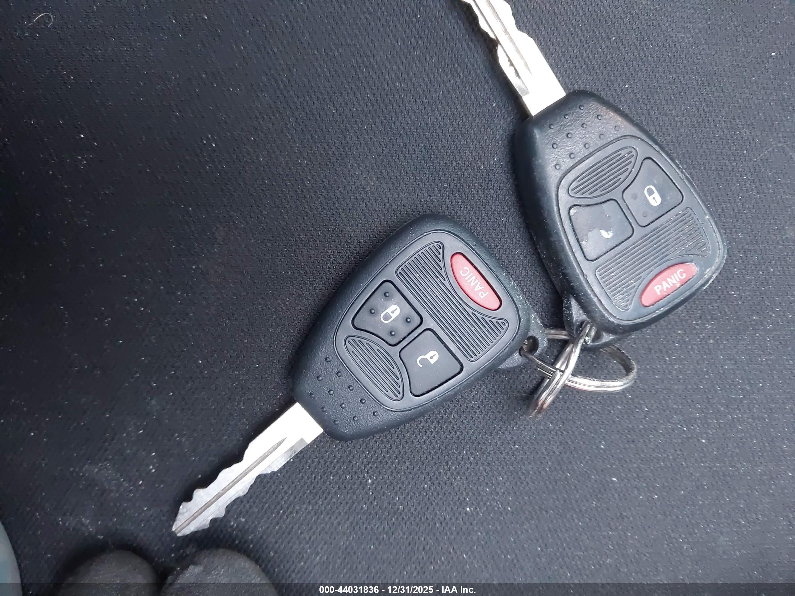 JEEP WRANGLER image 11