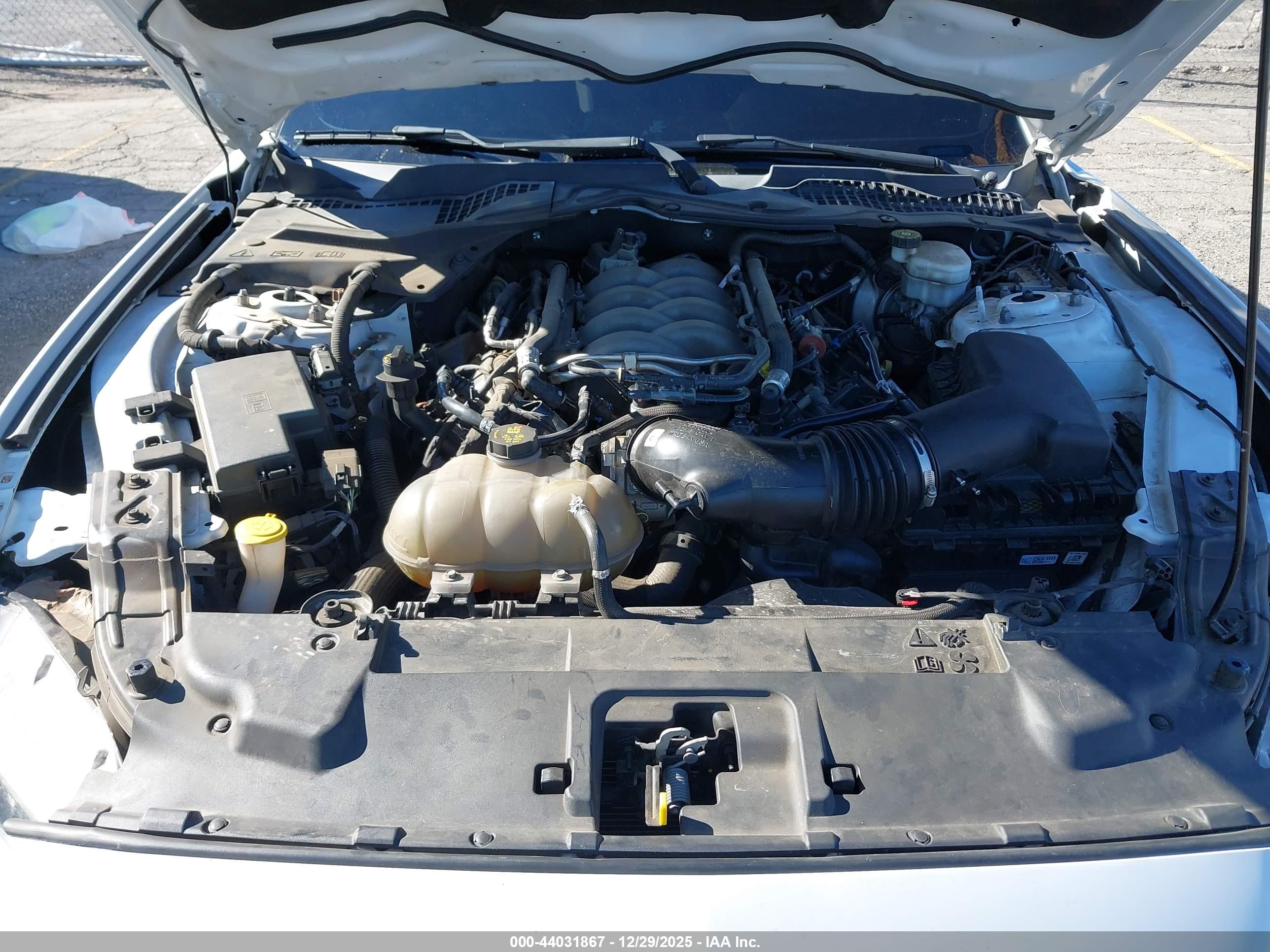 FORD MUSTANG image 10