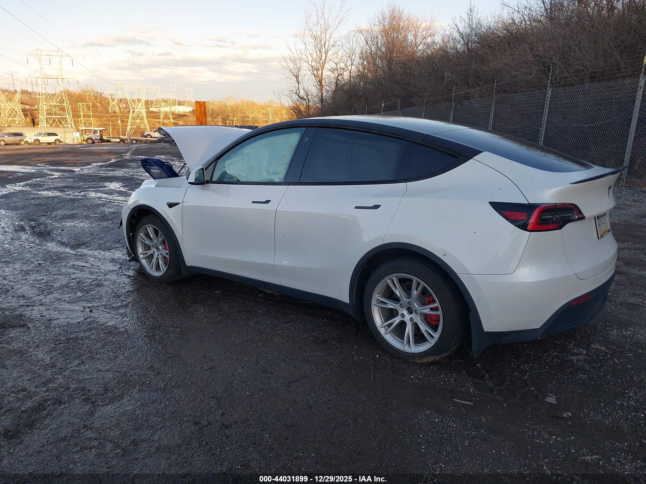 TESLA MODEL image 3