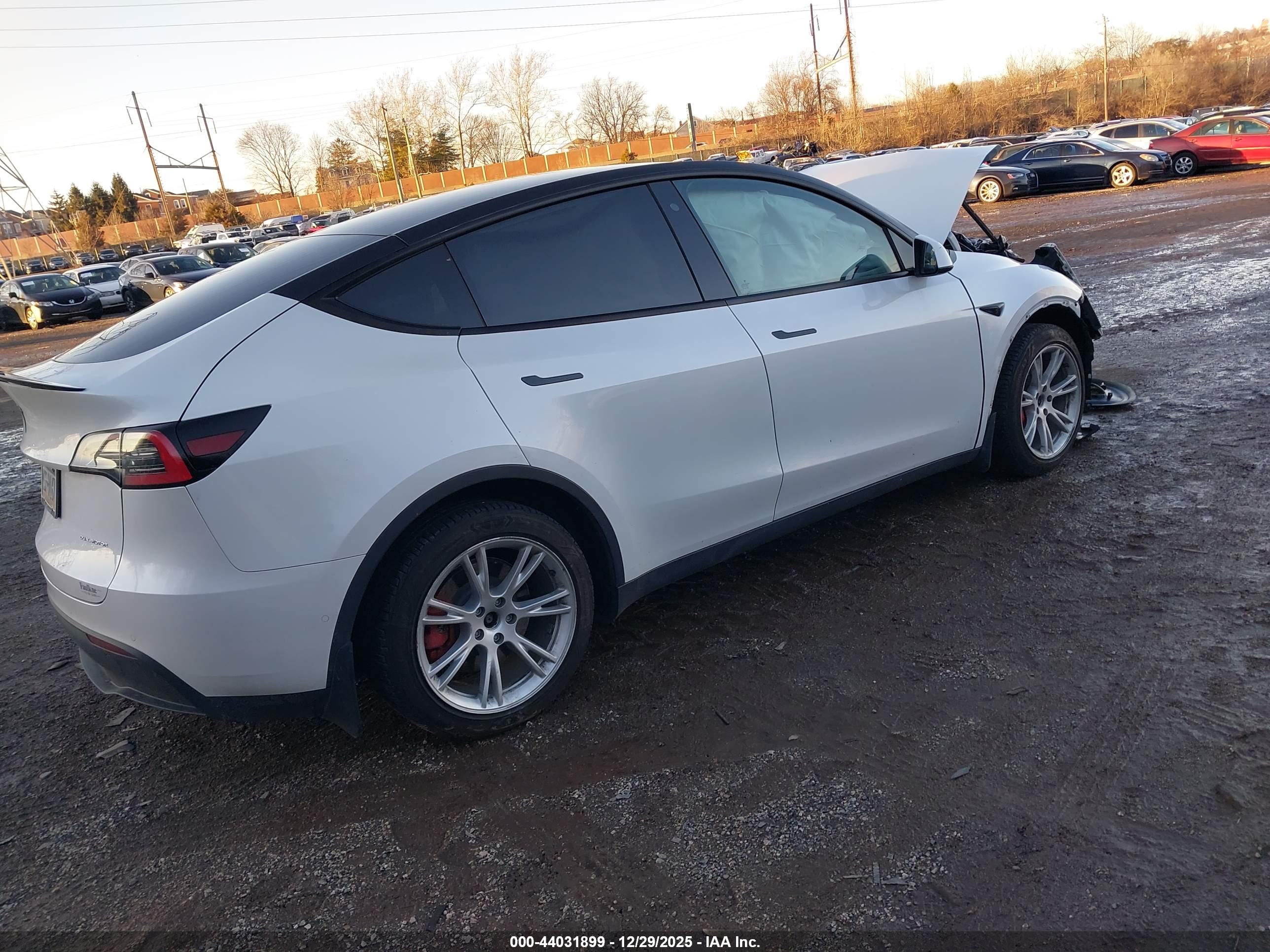 TESLA MODEL image 4