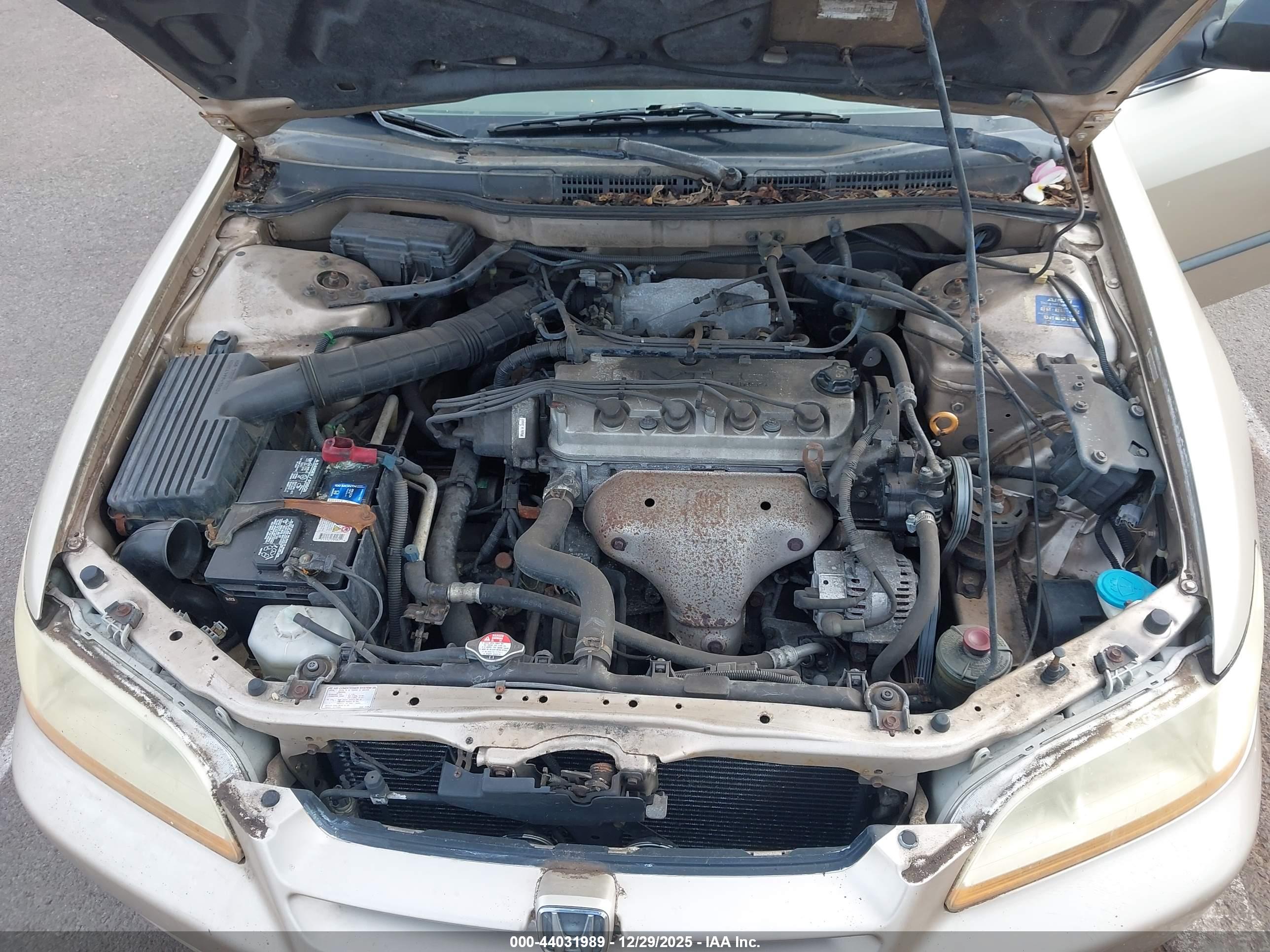 HONDA ACCORD image 10
