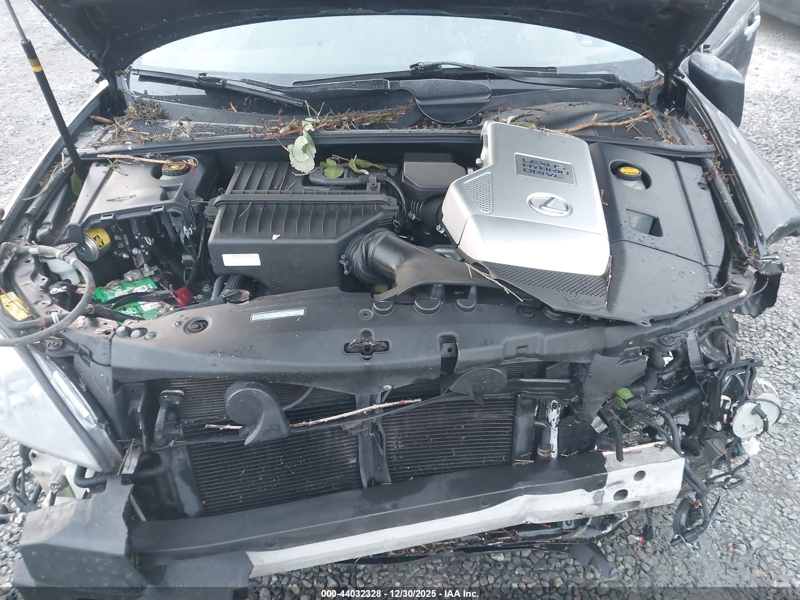 LEXUS RX image 10