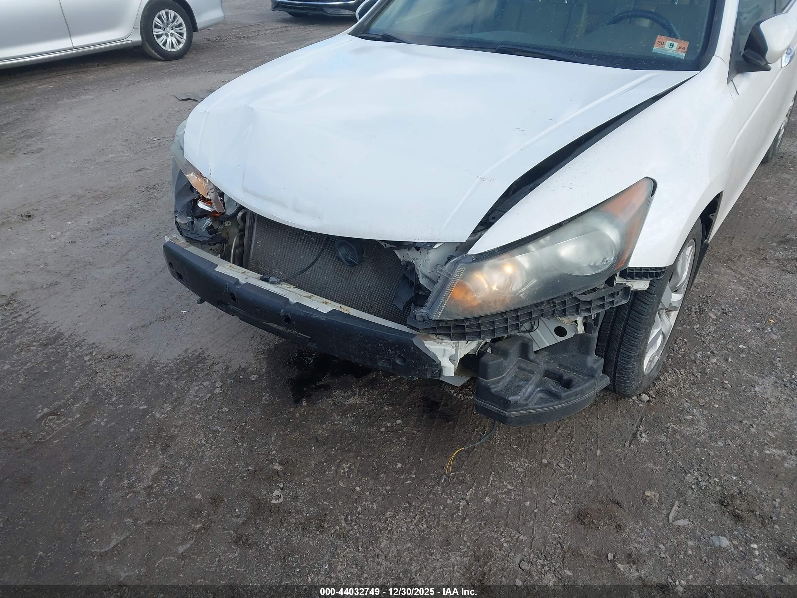 HONDA ACCORD image 6