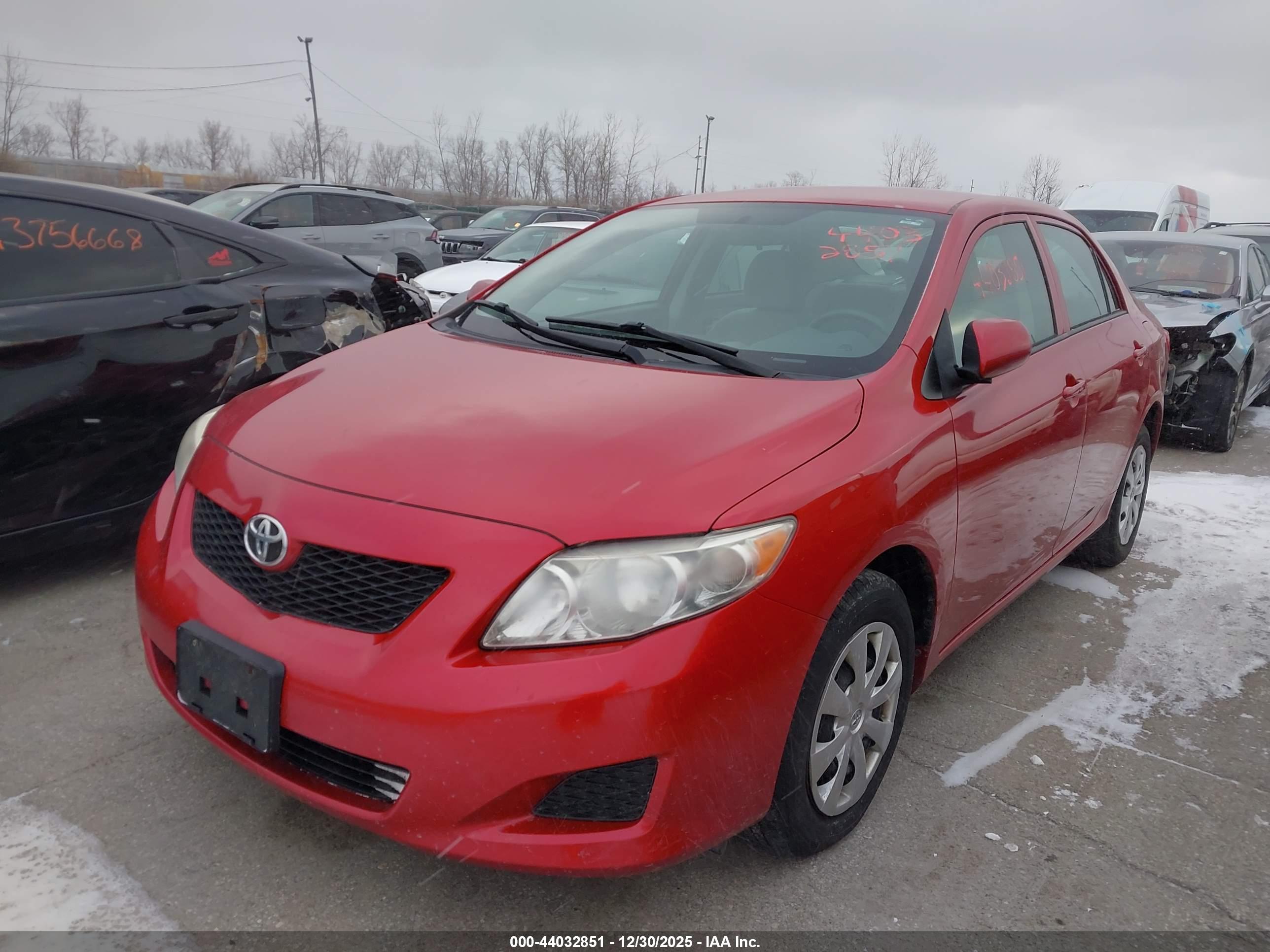 TOYOTA COROLLA image 2