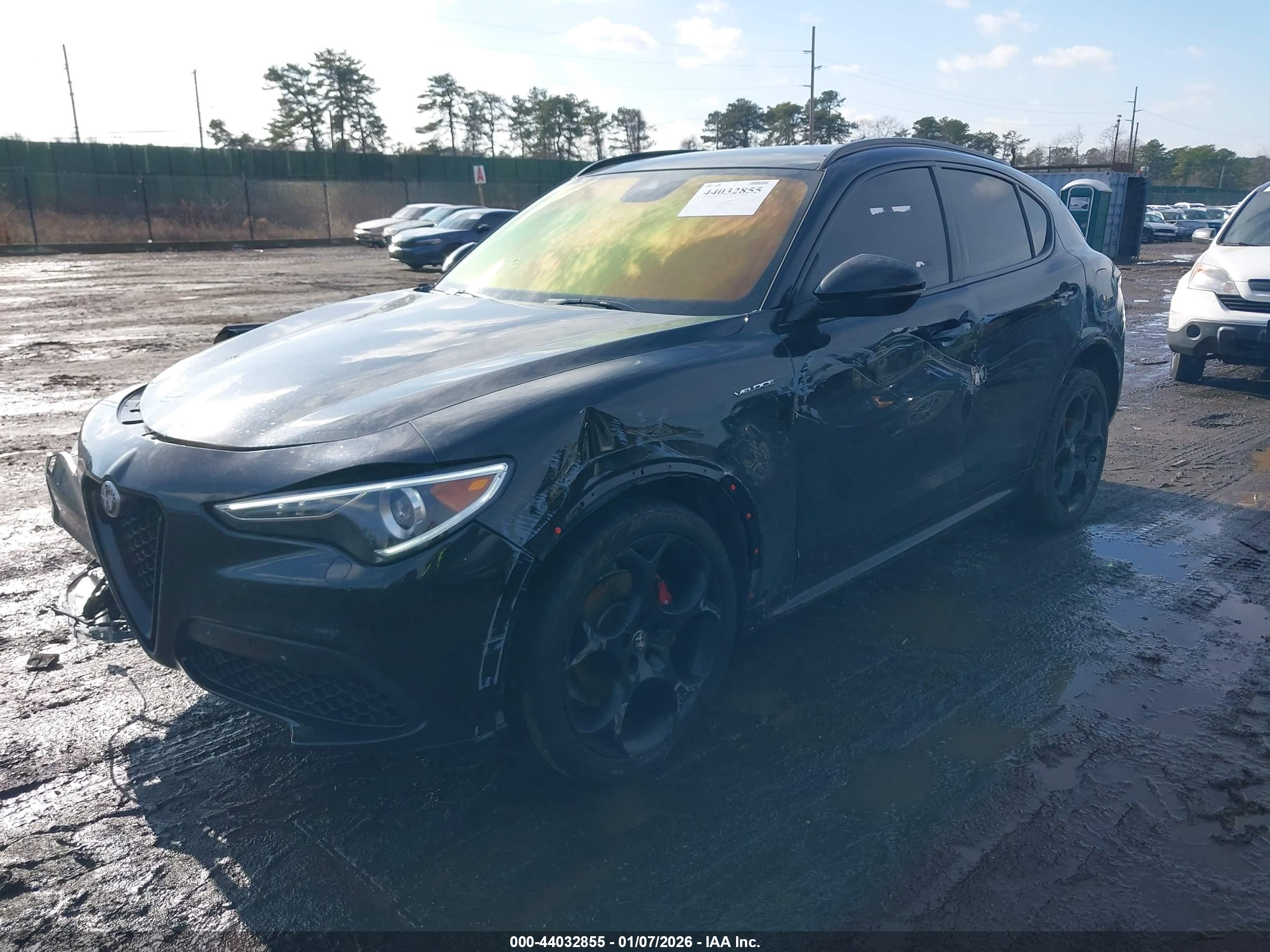 ALFA ROMEO image 2