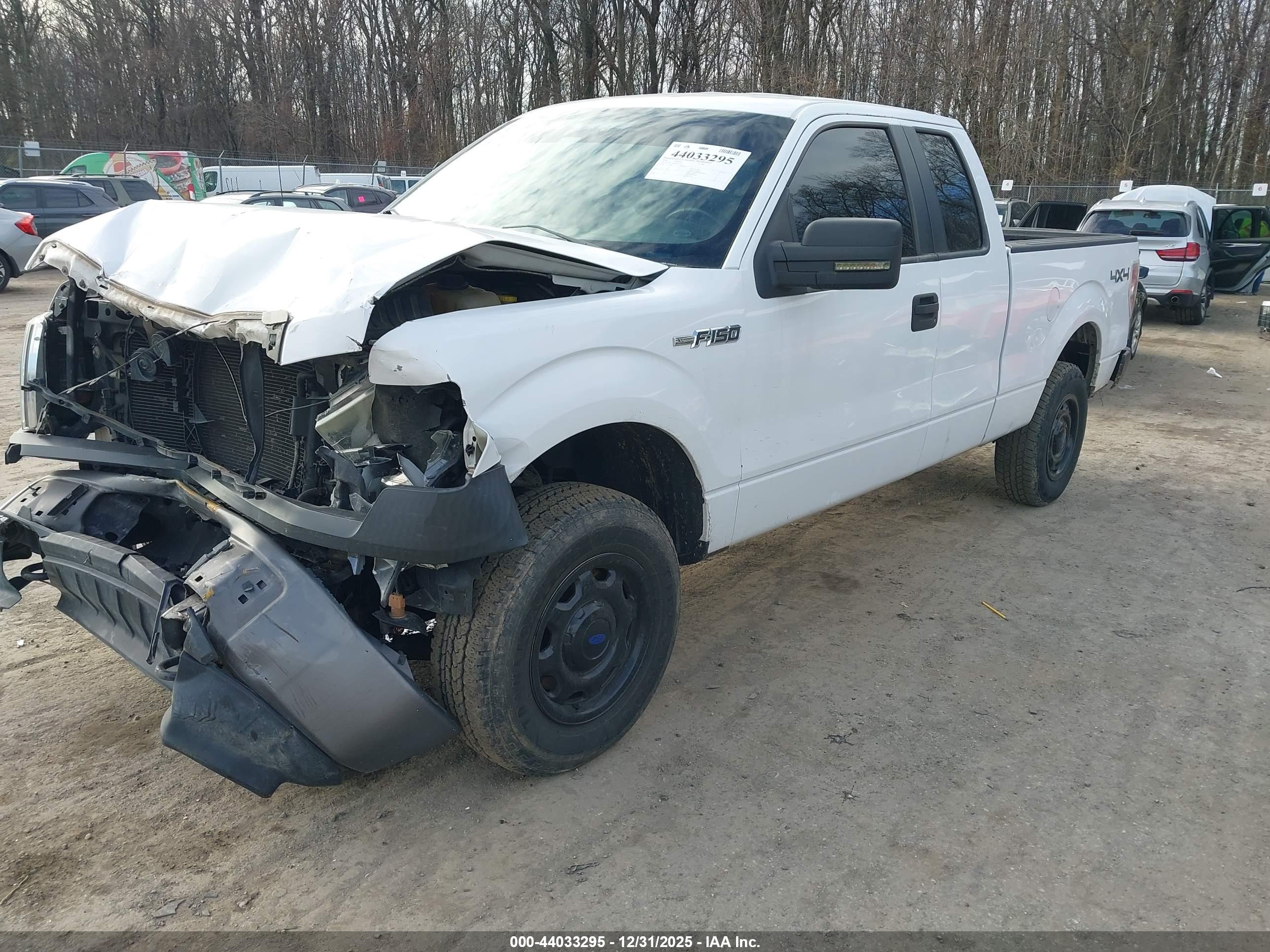 FORD F-150 image 2