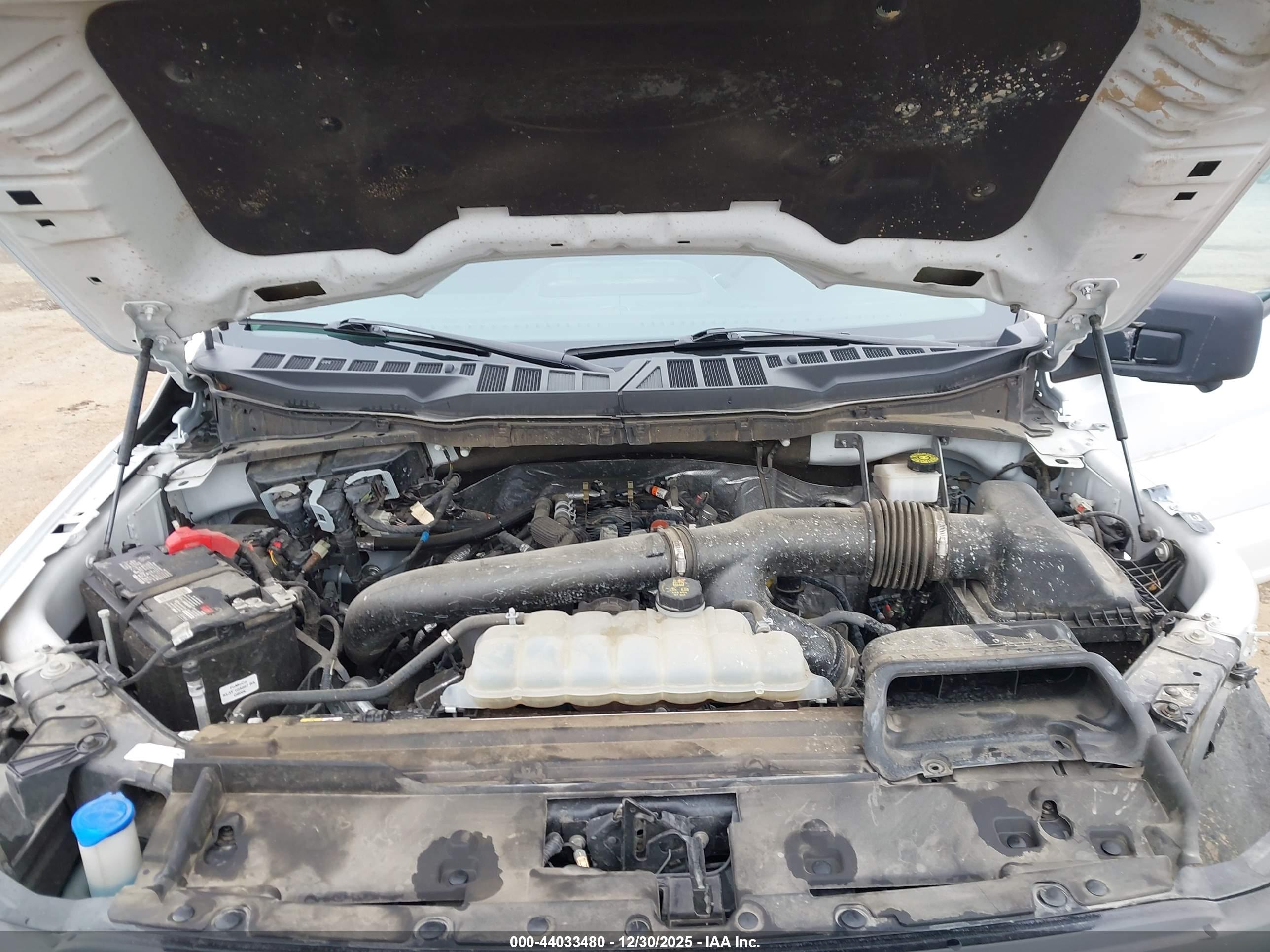 FORD F-150 image 10