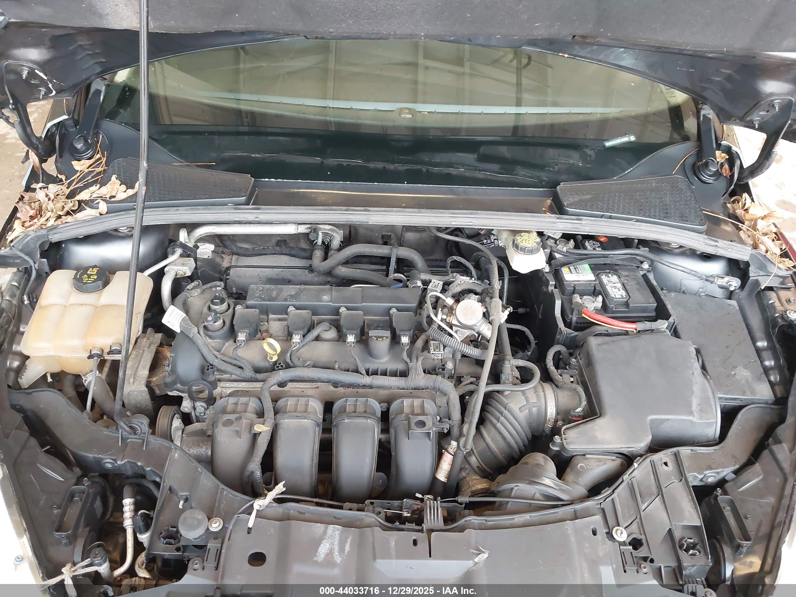 FORD FOCUS image 10