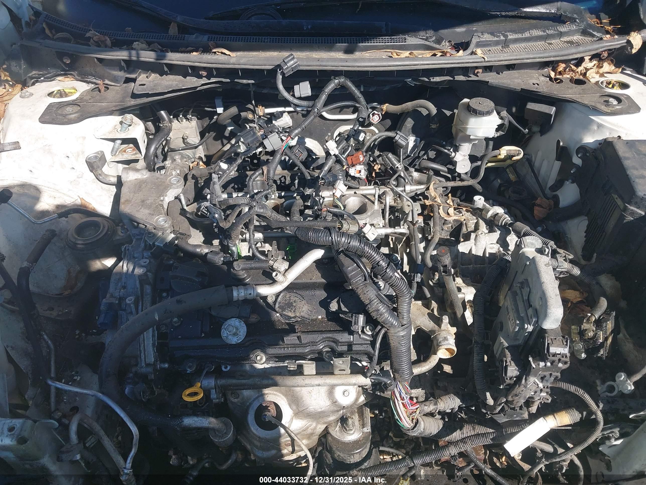 NISSAN MAXIMA image 10