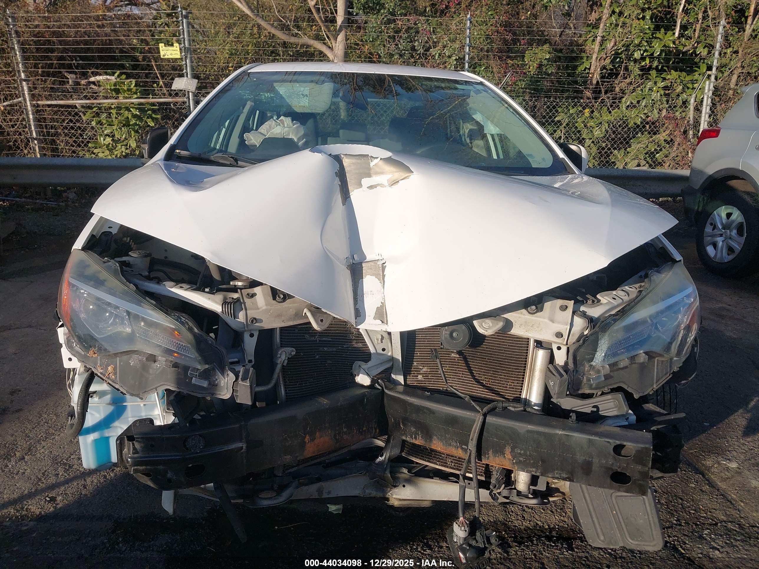 TOYOTA COROLLA image 6