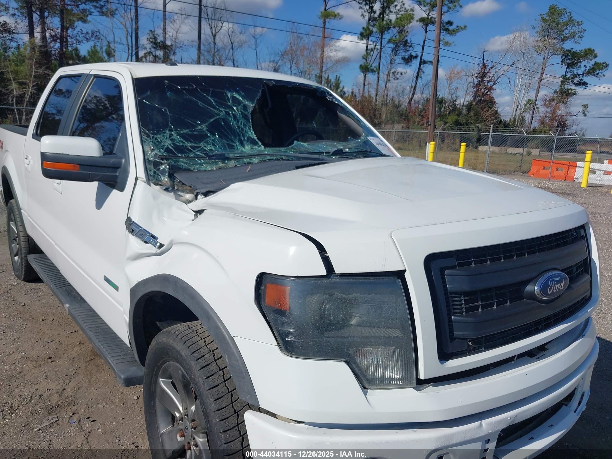 FORD F-150 image 6
