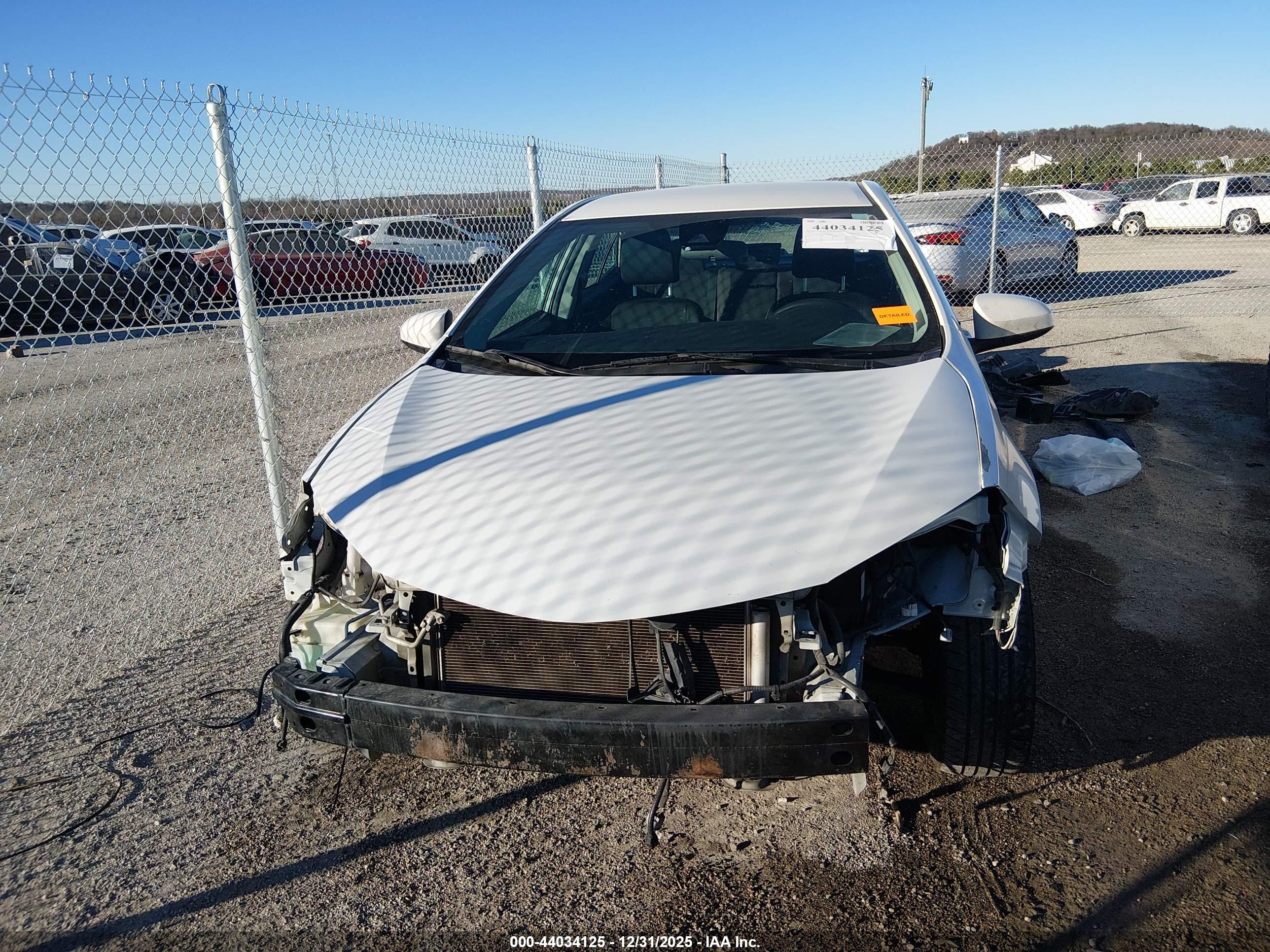 TOYOTA COROLLA image 6