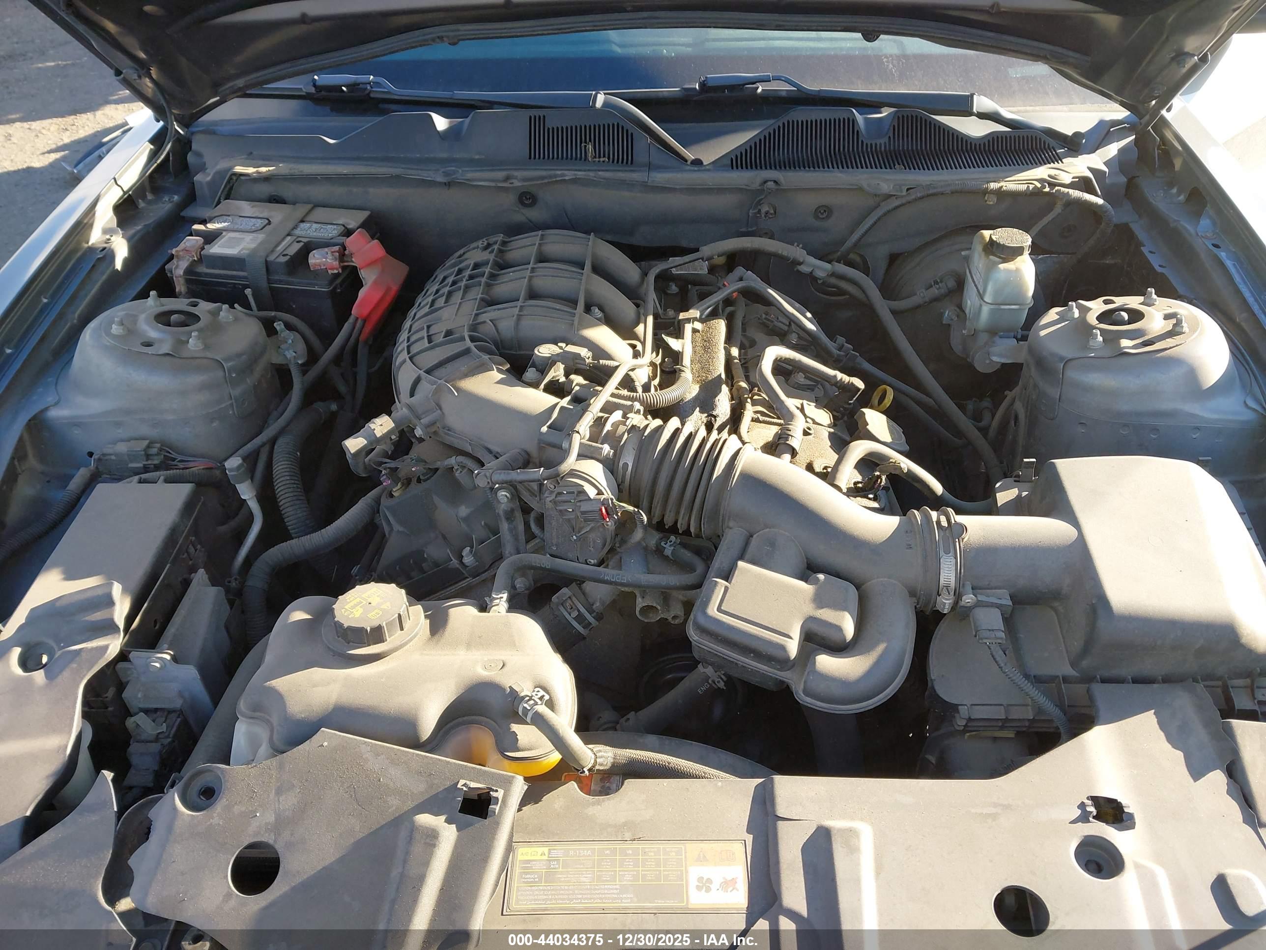 FORD MUSTANG image 10