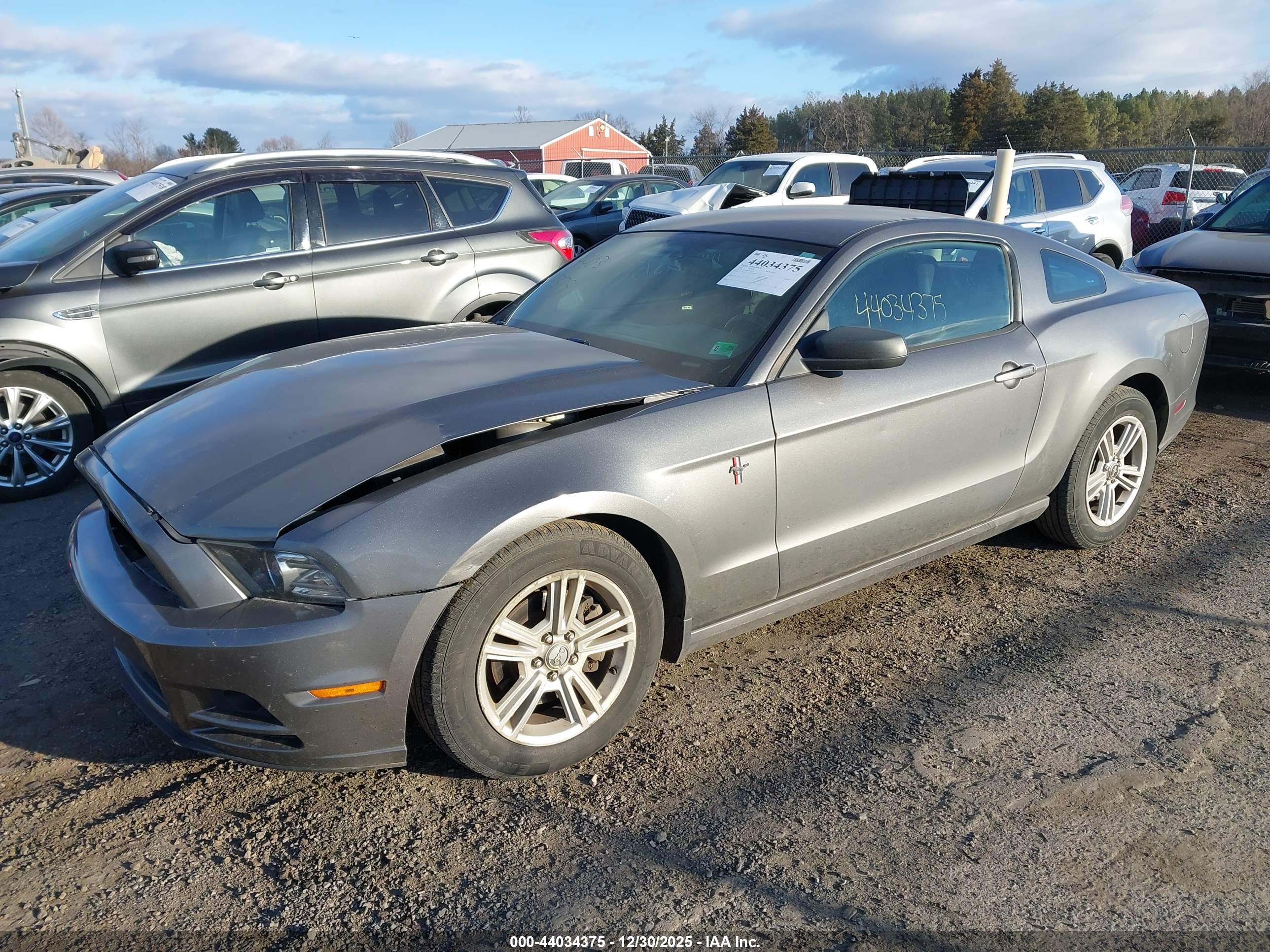 FORD MUSTANG image 2