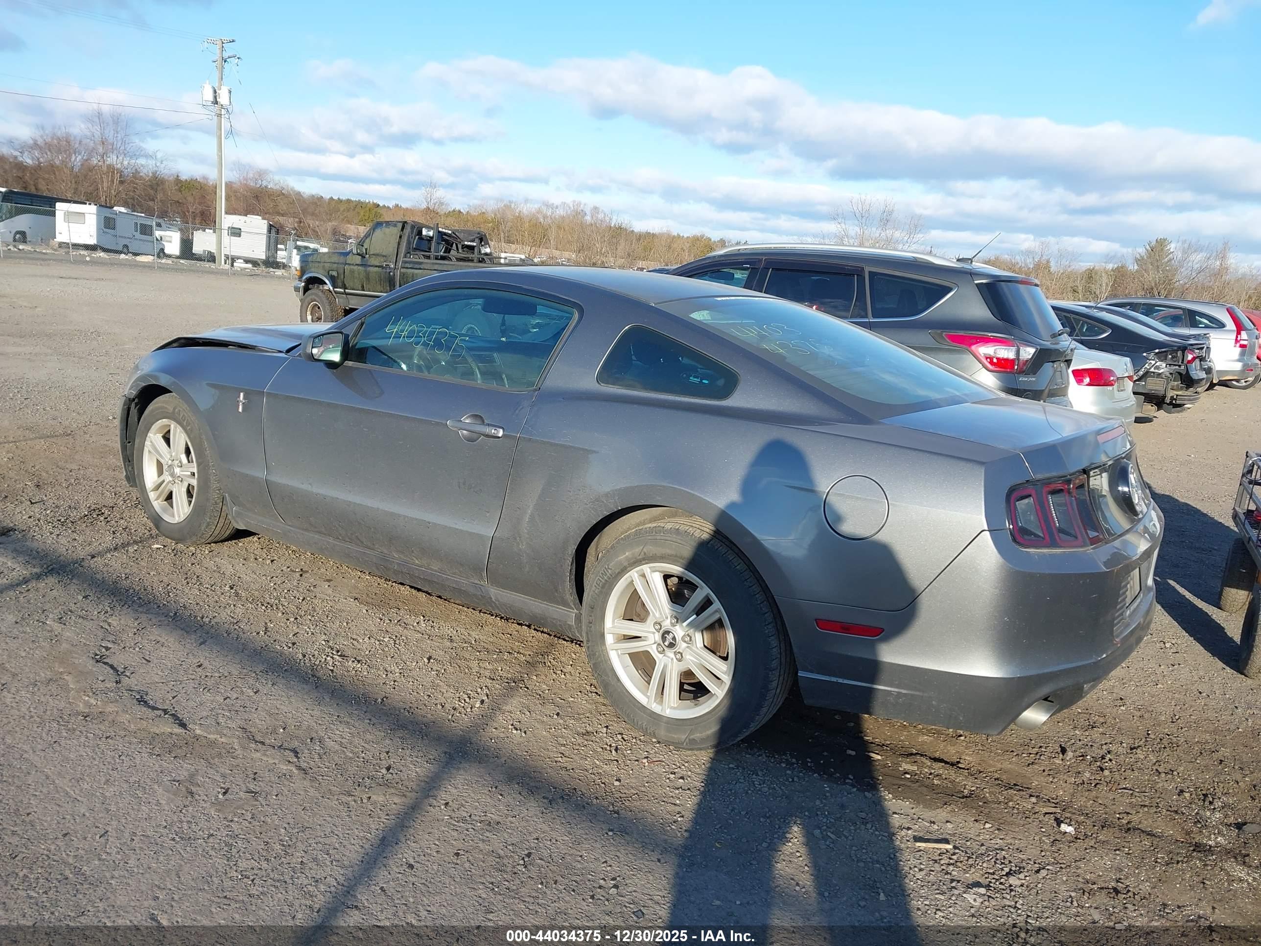 FORD MUSTANG image 3