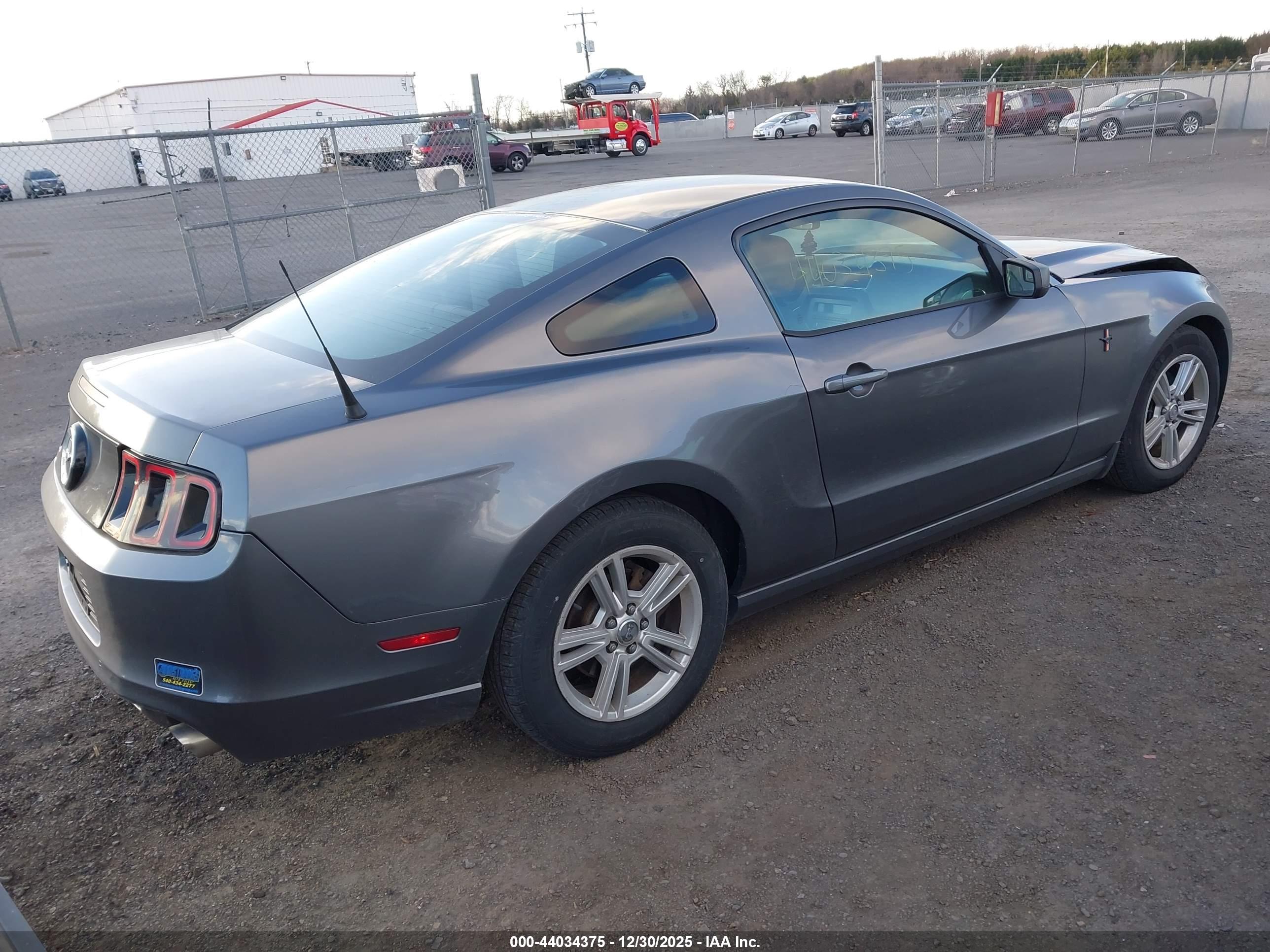 FORD MUSTANG image 4