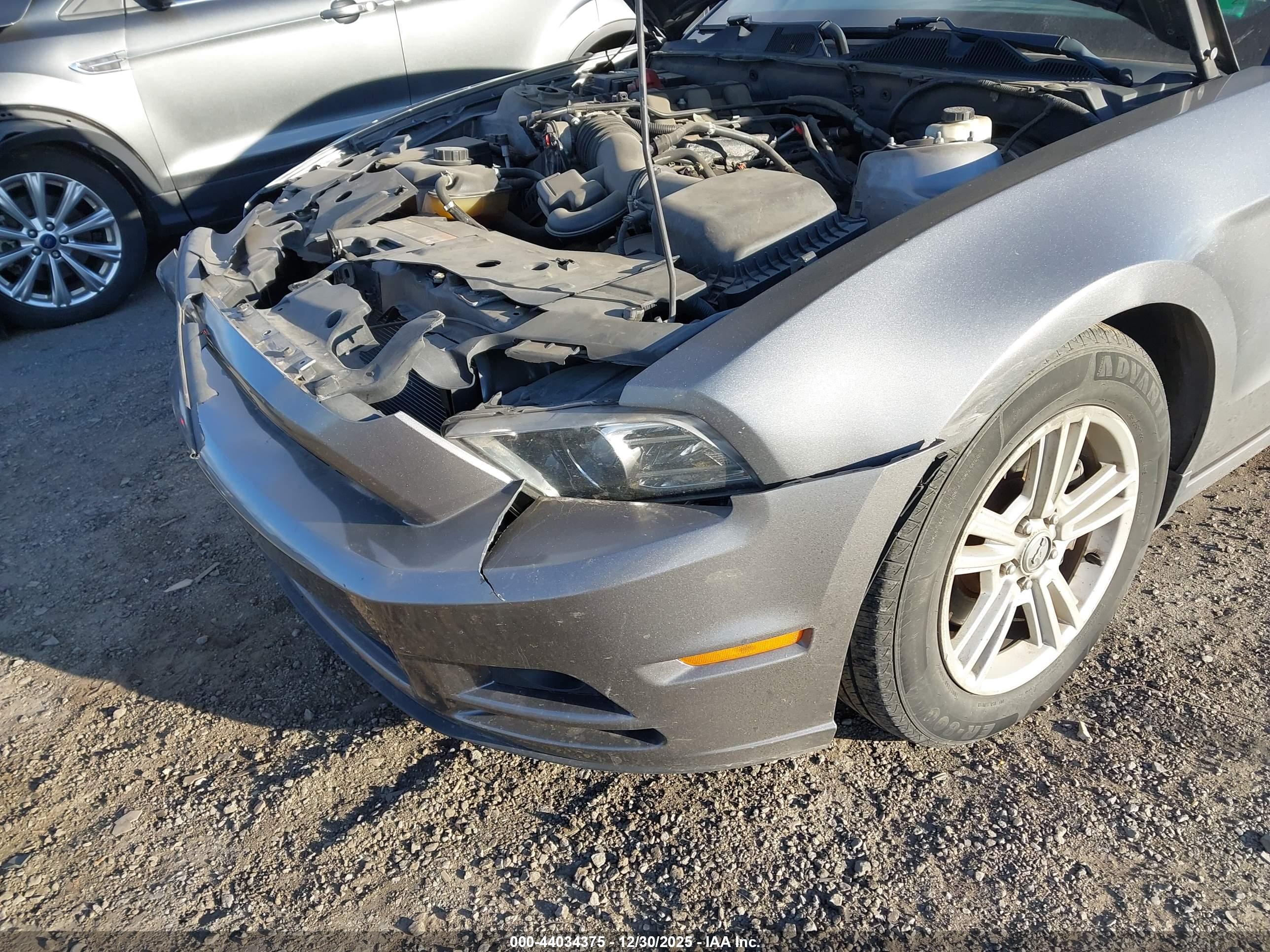 FORD MUSTANG image 6