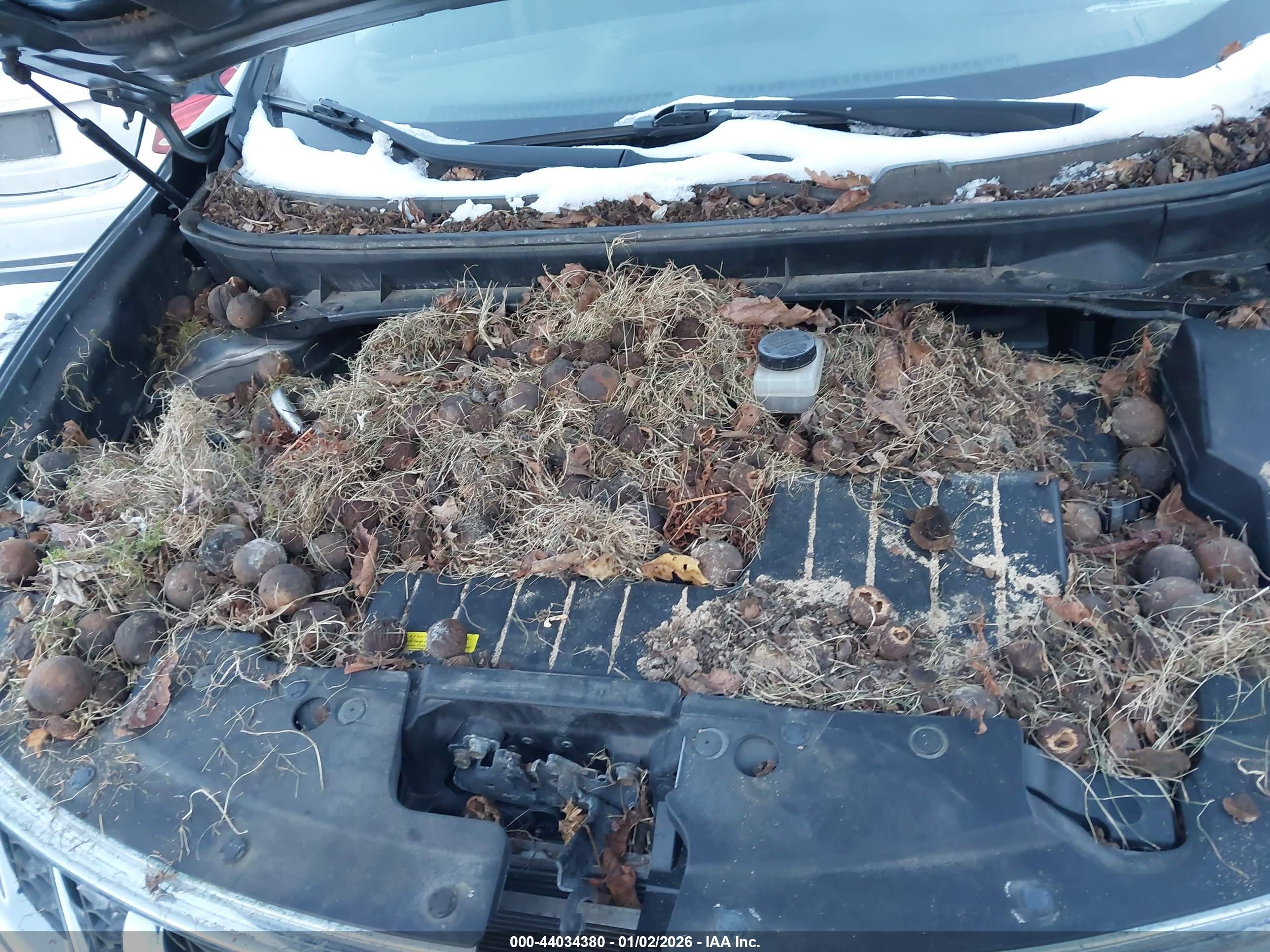 NISSAN MURANO image 10