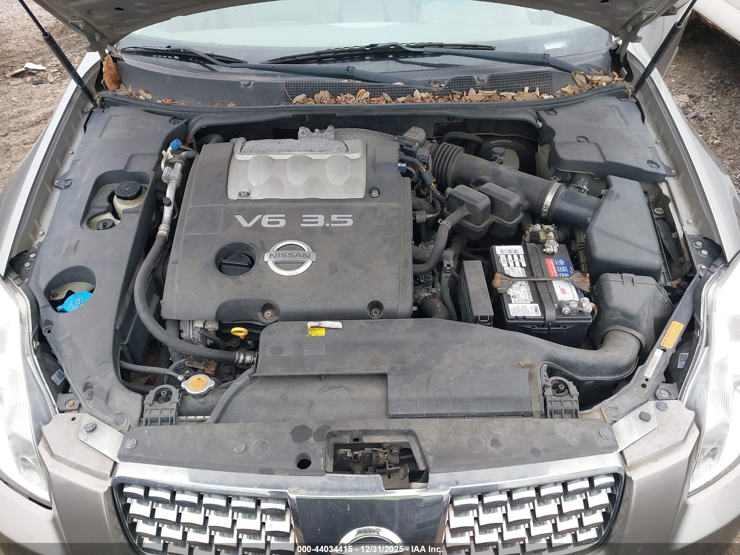 NISSAN MAXIMA image 10