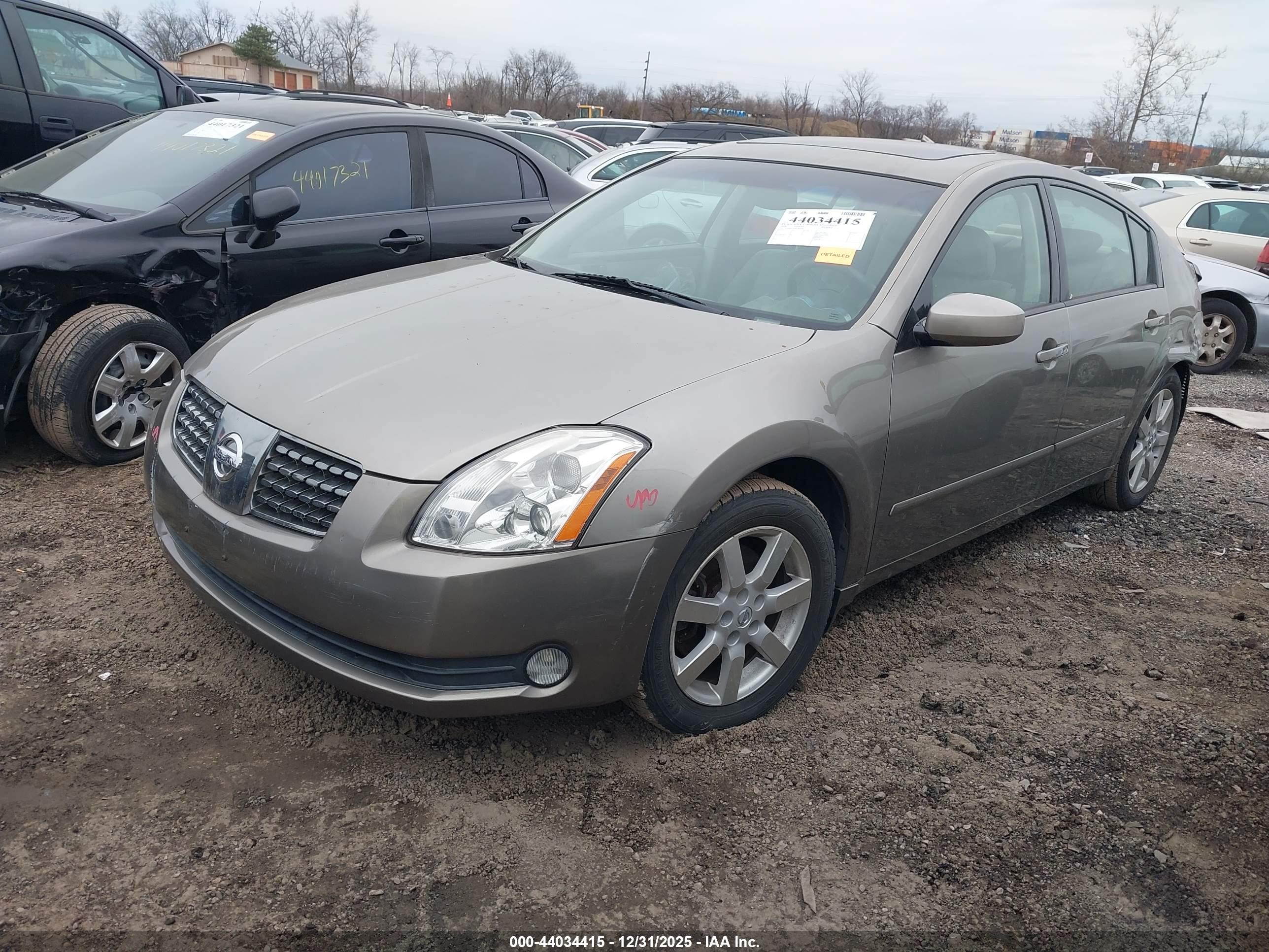 NISSAN MAXIMA image 2