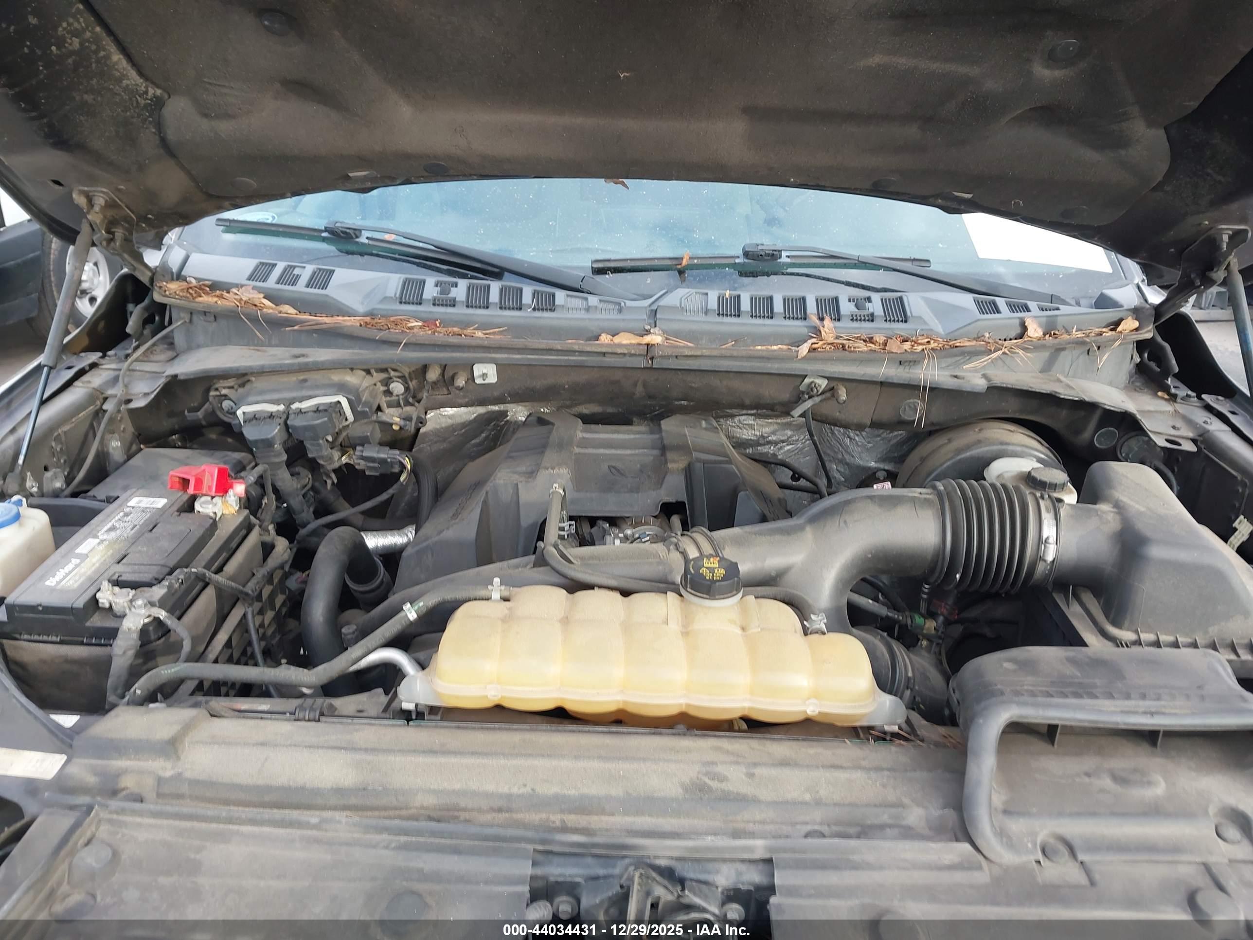 FORD F-150 image 10