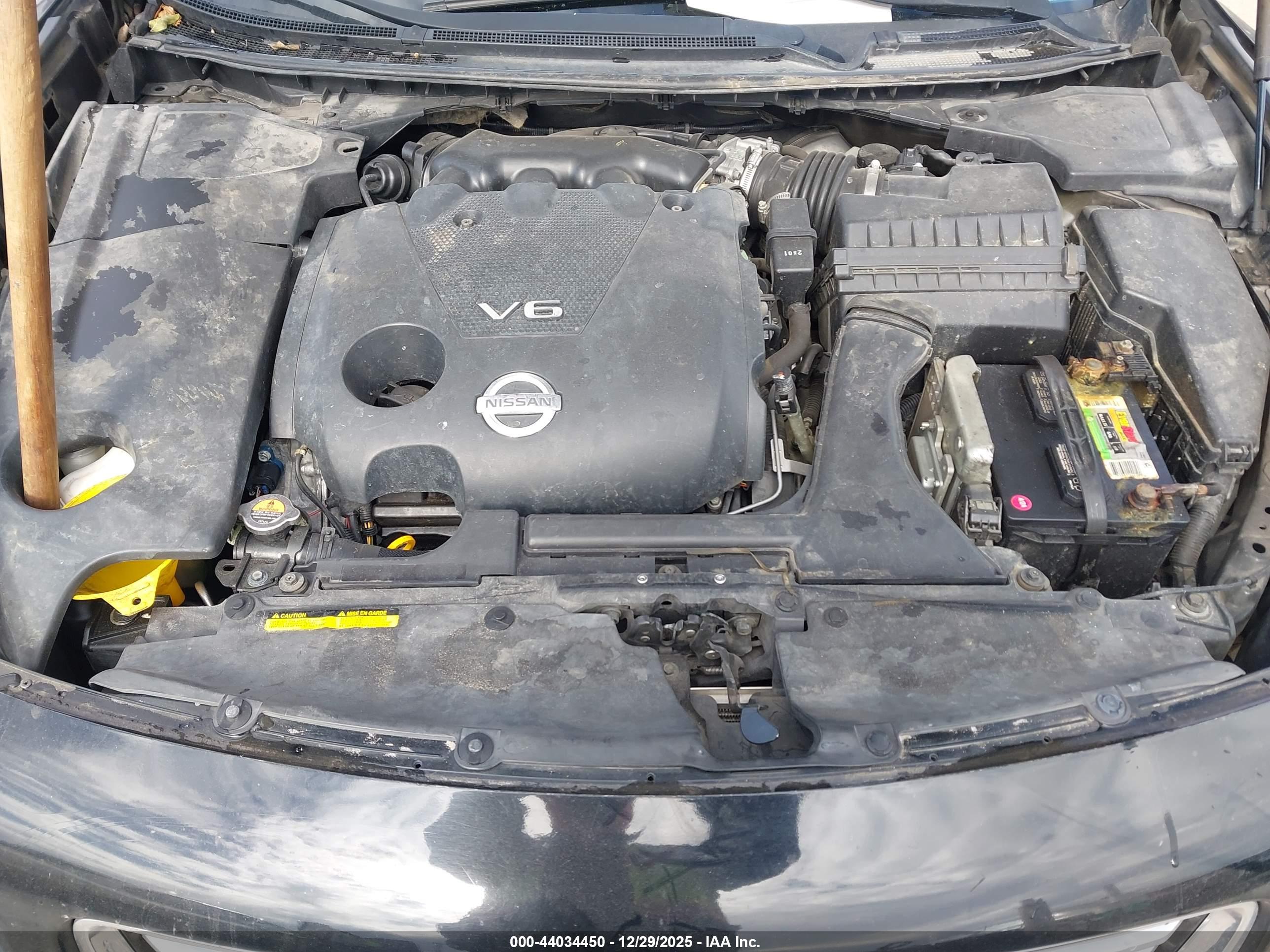 NISSAN MAXIMA image 10