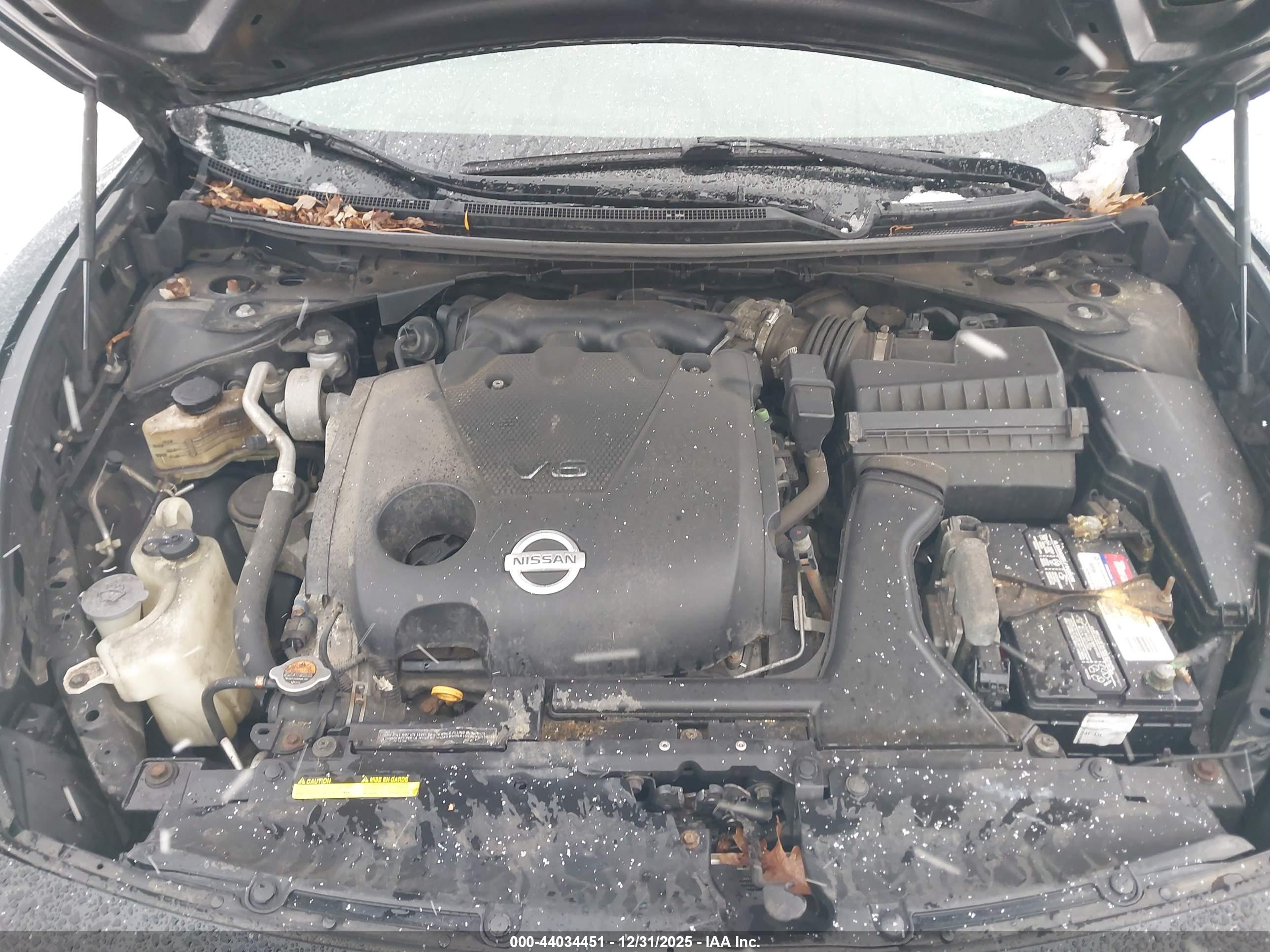 NISSAN MAXIMA image 10