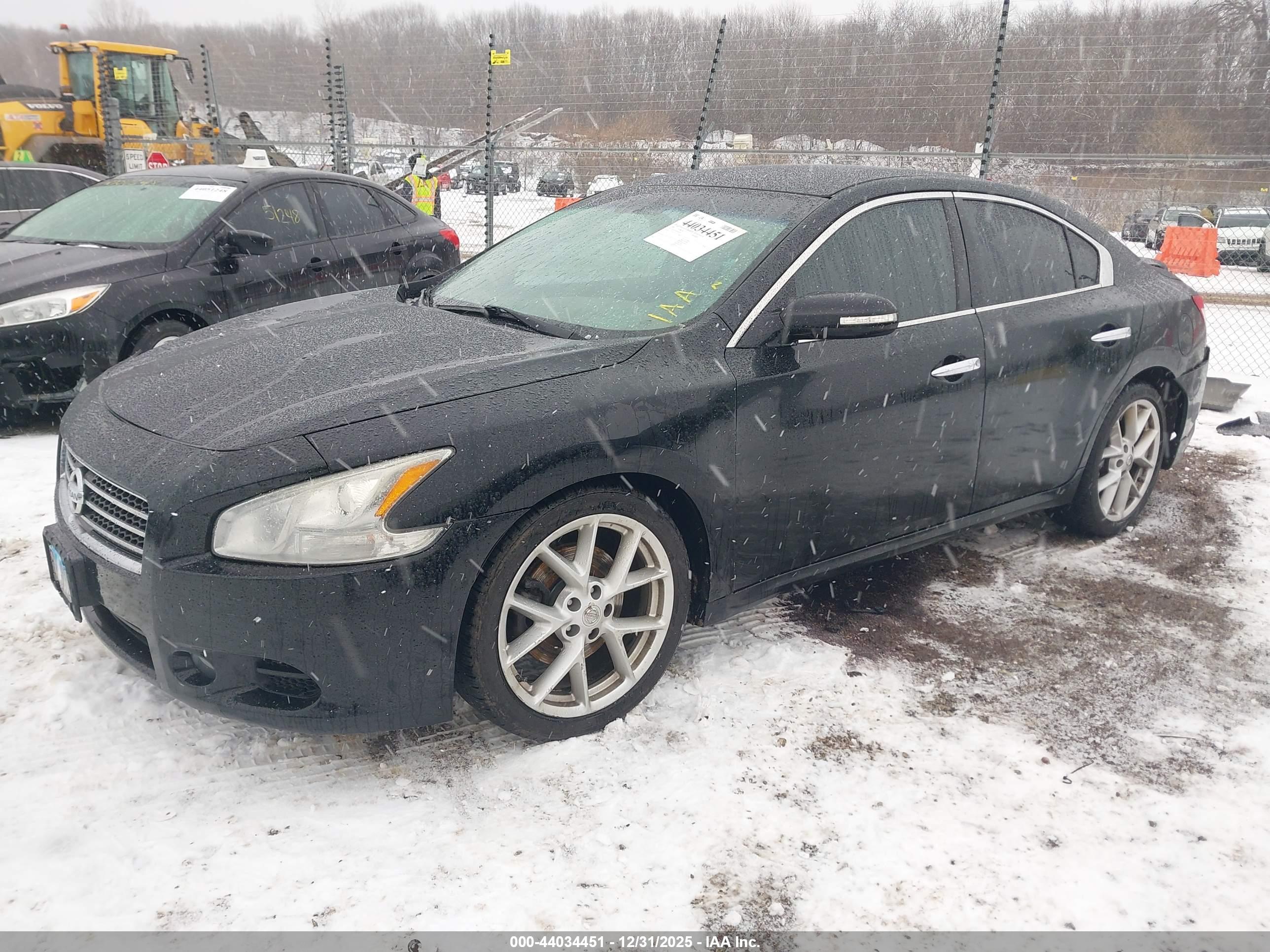 NISSAN MAXIMA image 2
