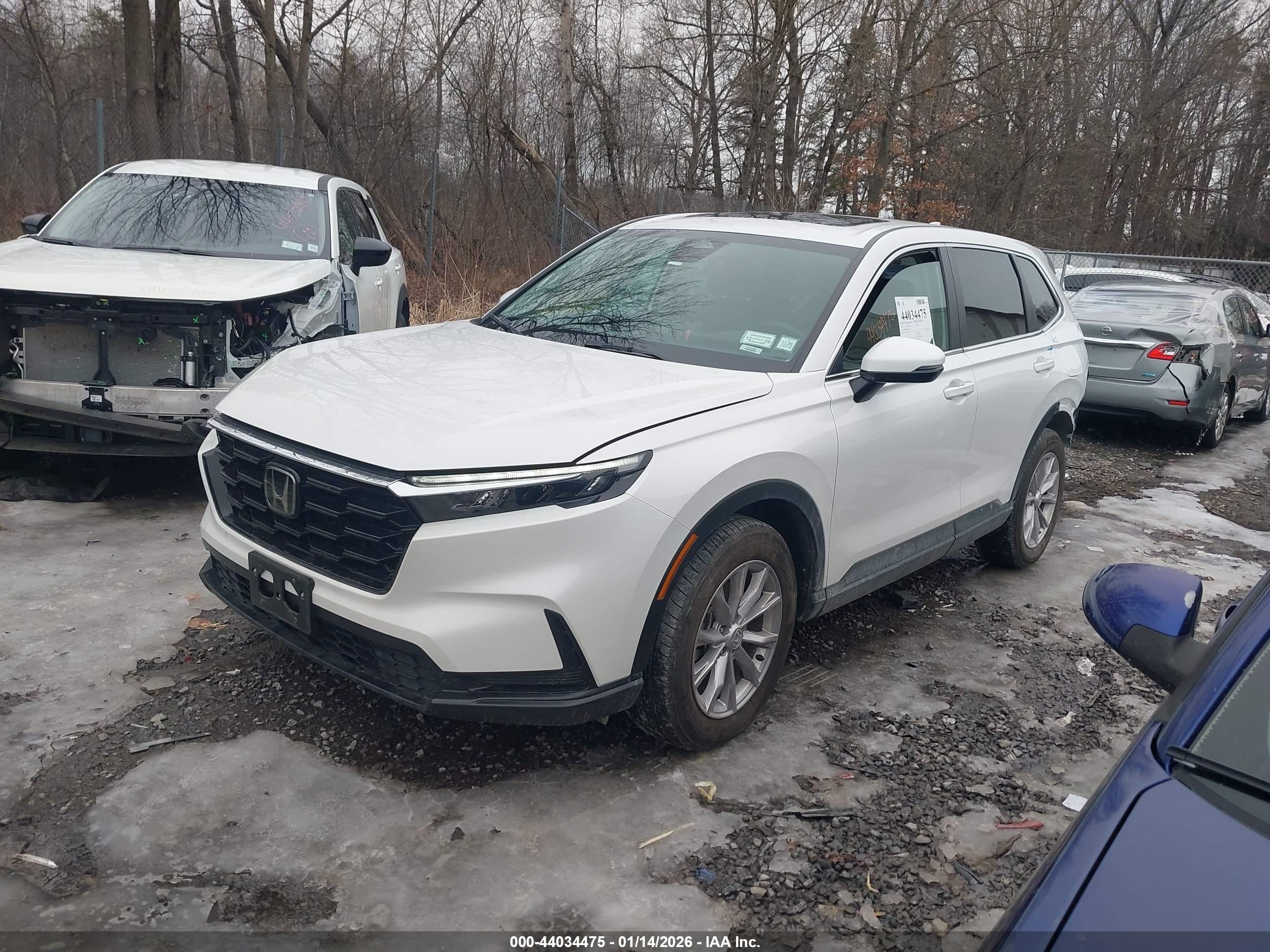 HONDA CR-V image 2