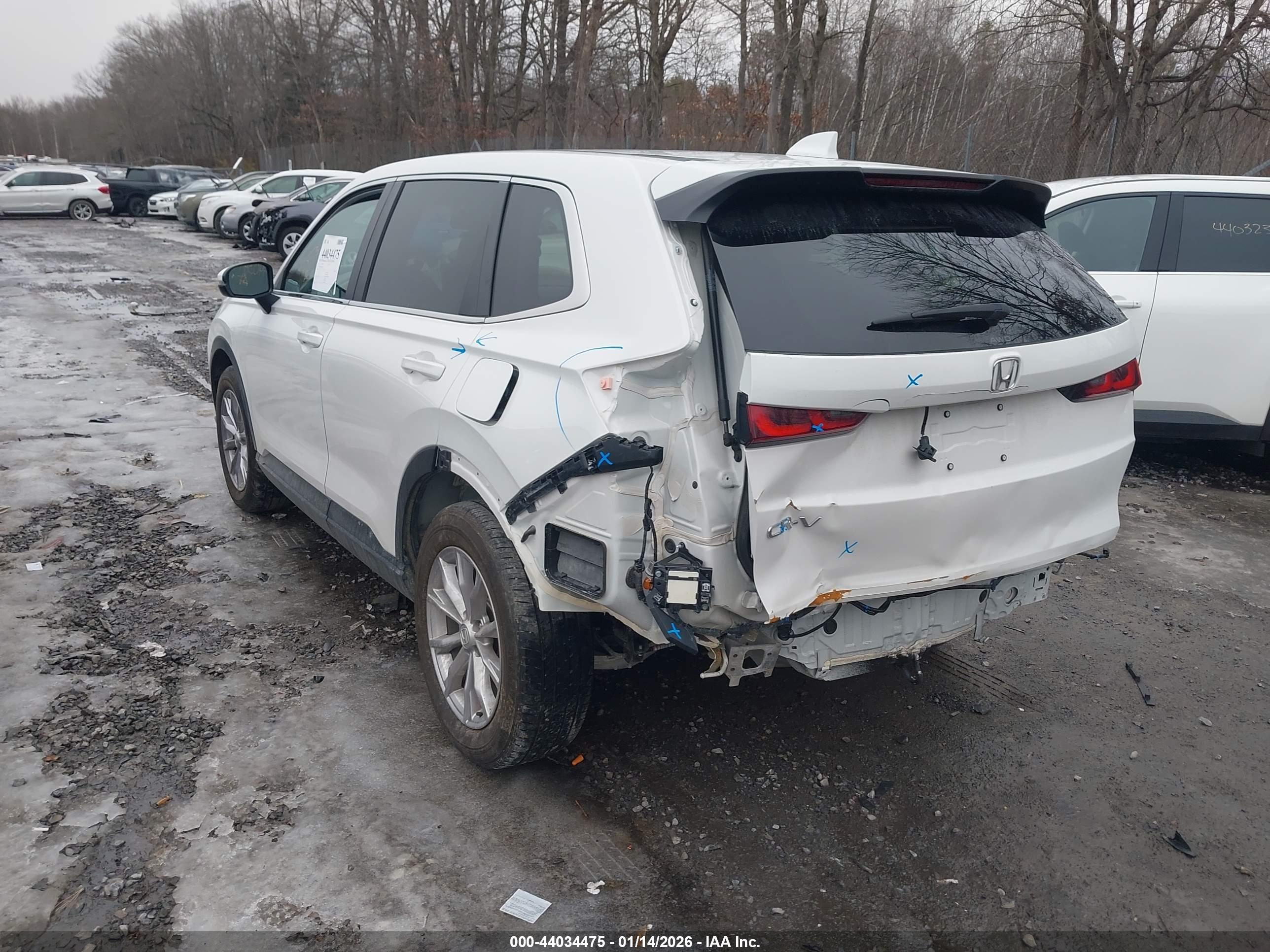 HONDA CR-V image 3
