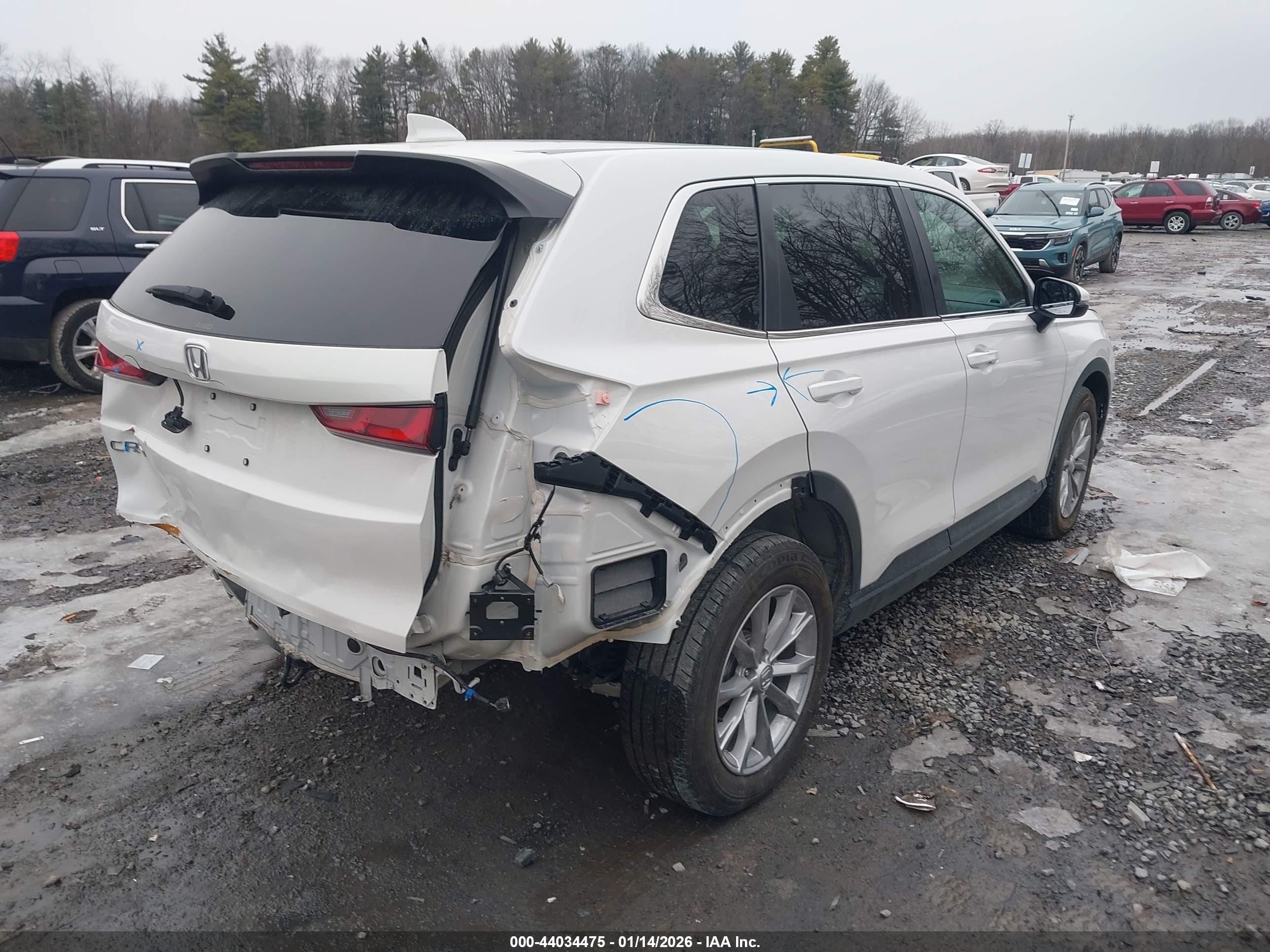 HONDA CR-V image 4