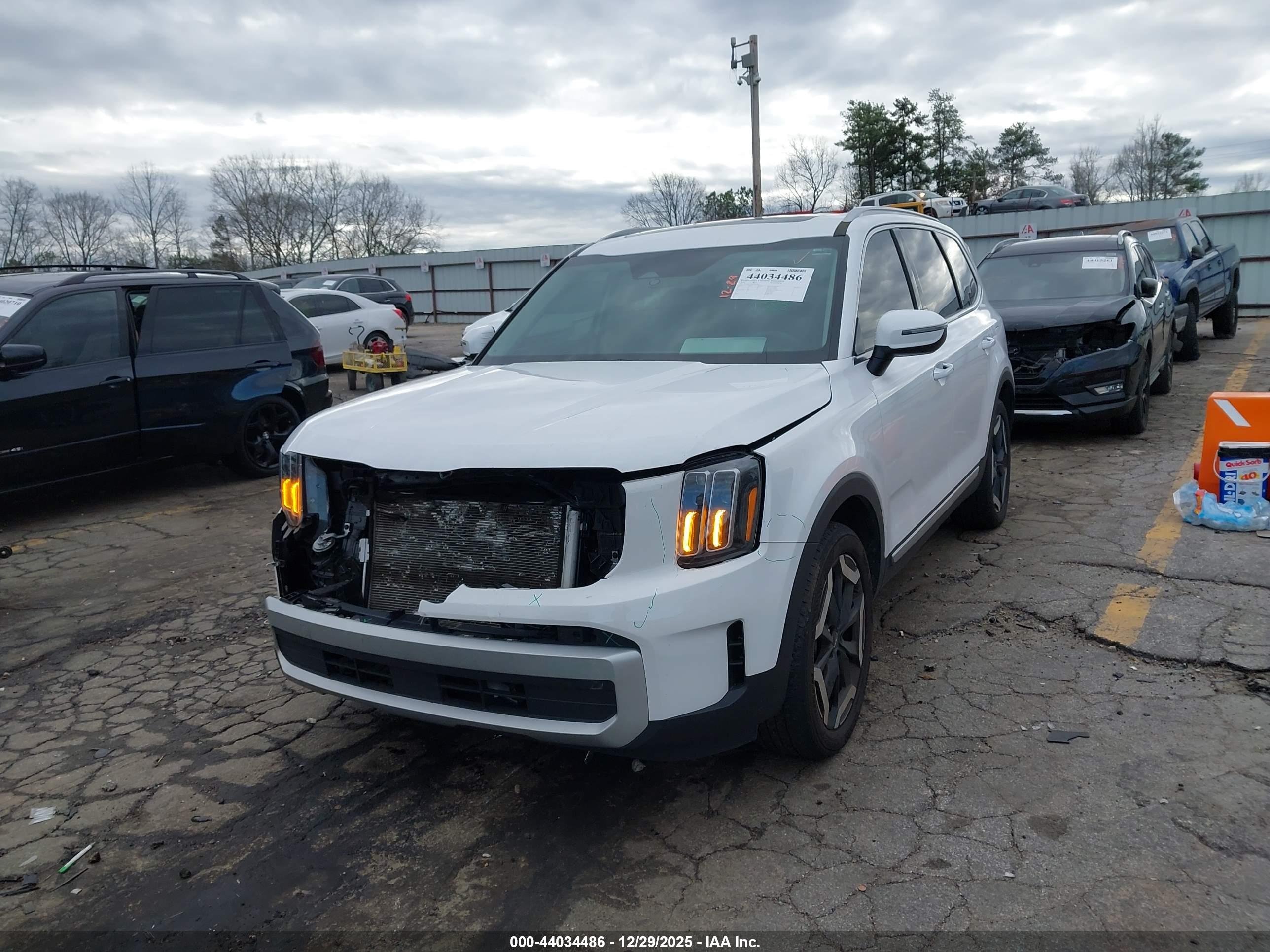 KIA TELLURIDE image 2