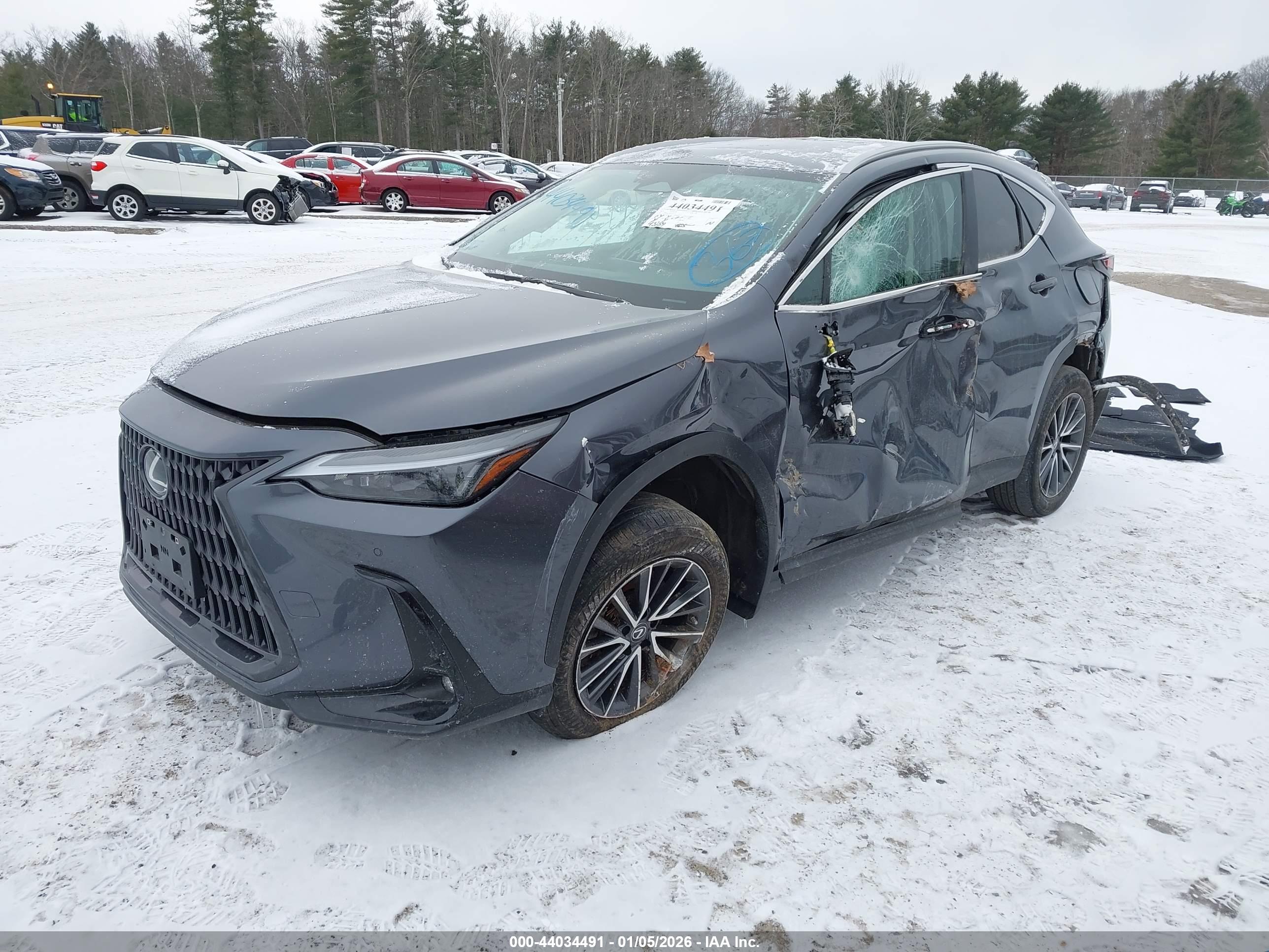 LEXUS NX image 2